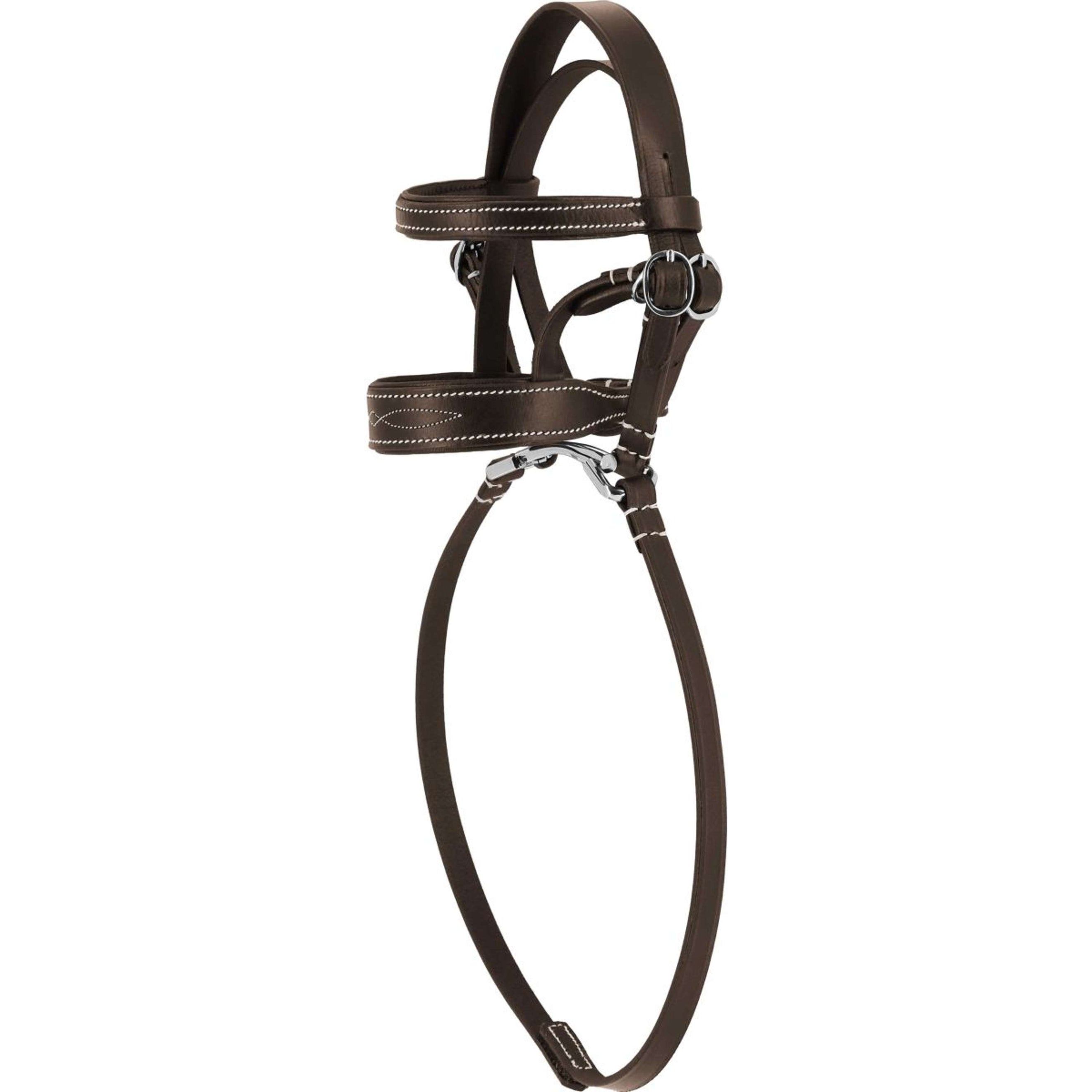 EQUITHÈME Bride Pony Academy Havane