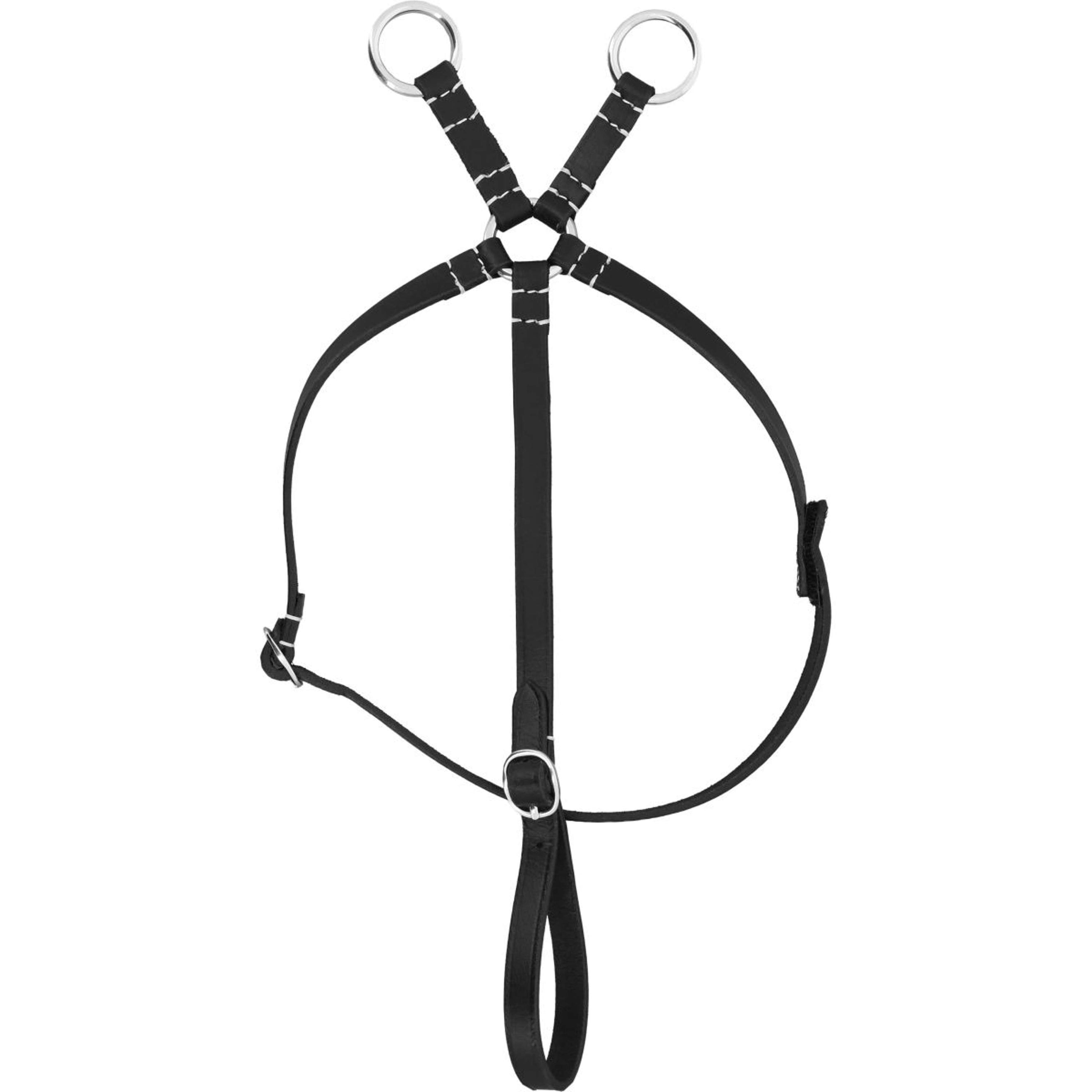 EQUITHÈME Pony Academy Martingale Noir