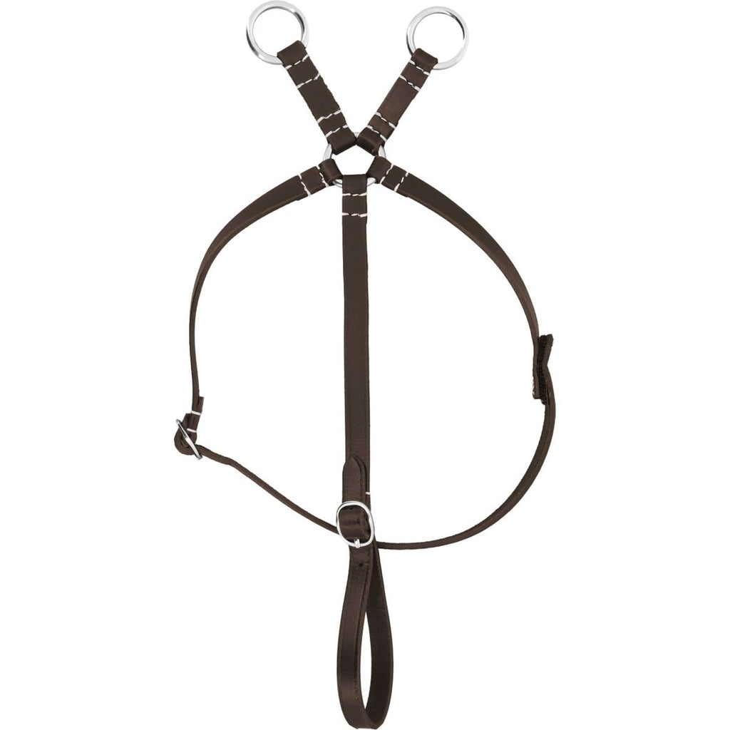EQUITHÈME Pony Academy Martingale Havane