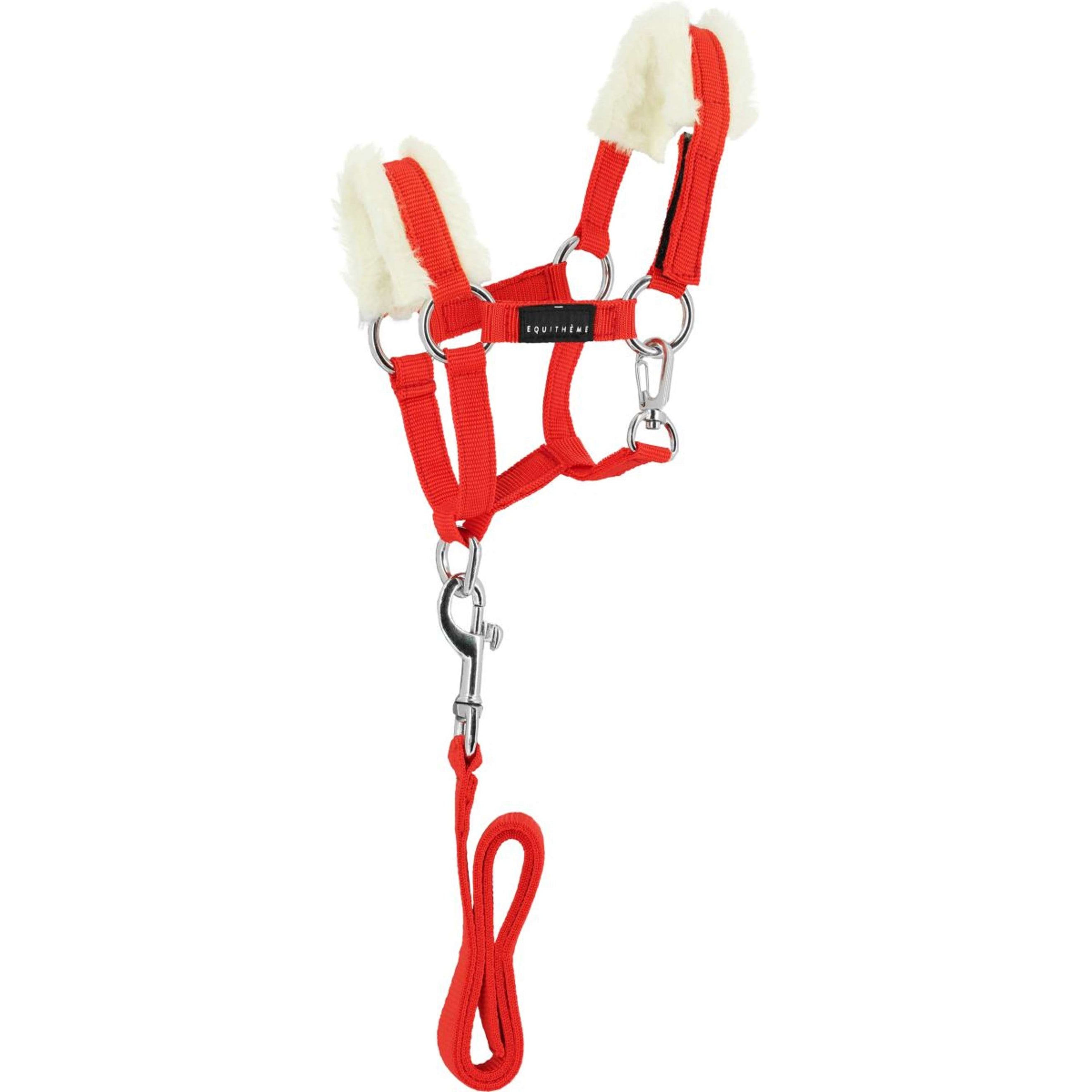 EQUITHÈME Pony Academy Ensemble Licol Rouge