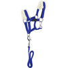 EQUITHÈME Pony Academy Ensemble Licol Bleu Royal