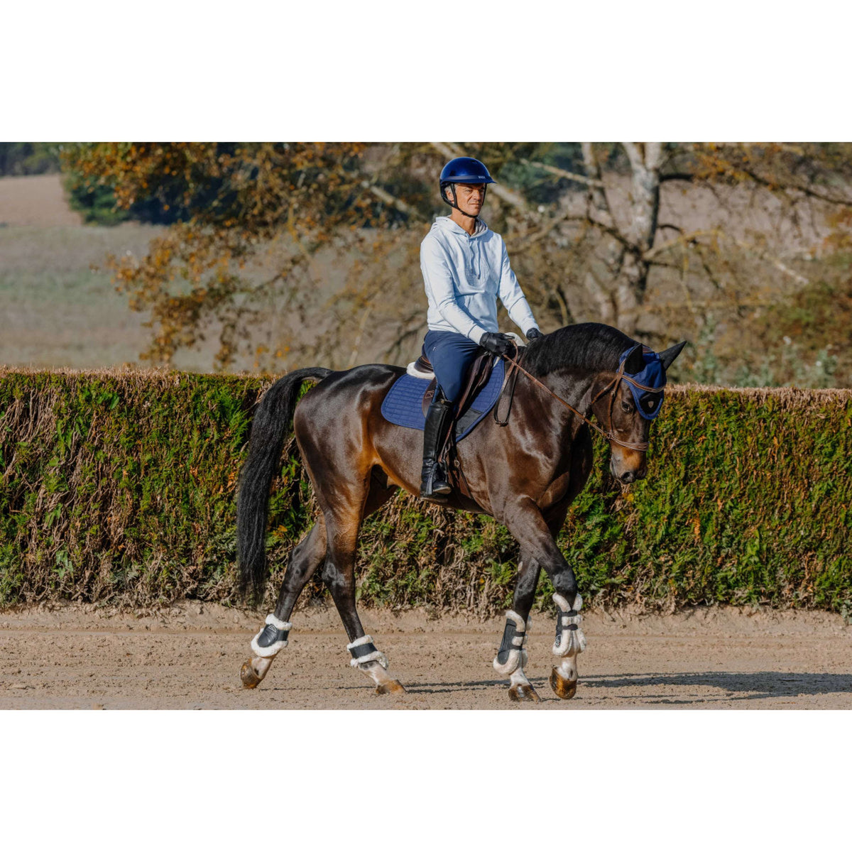 EQUITHÈME Pull col Hoodie Axel Unisex Bleu/Bleu clair