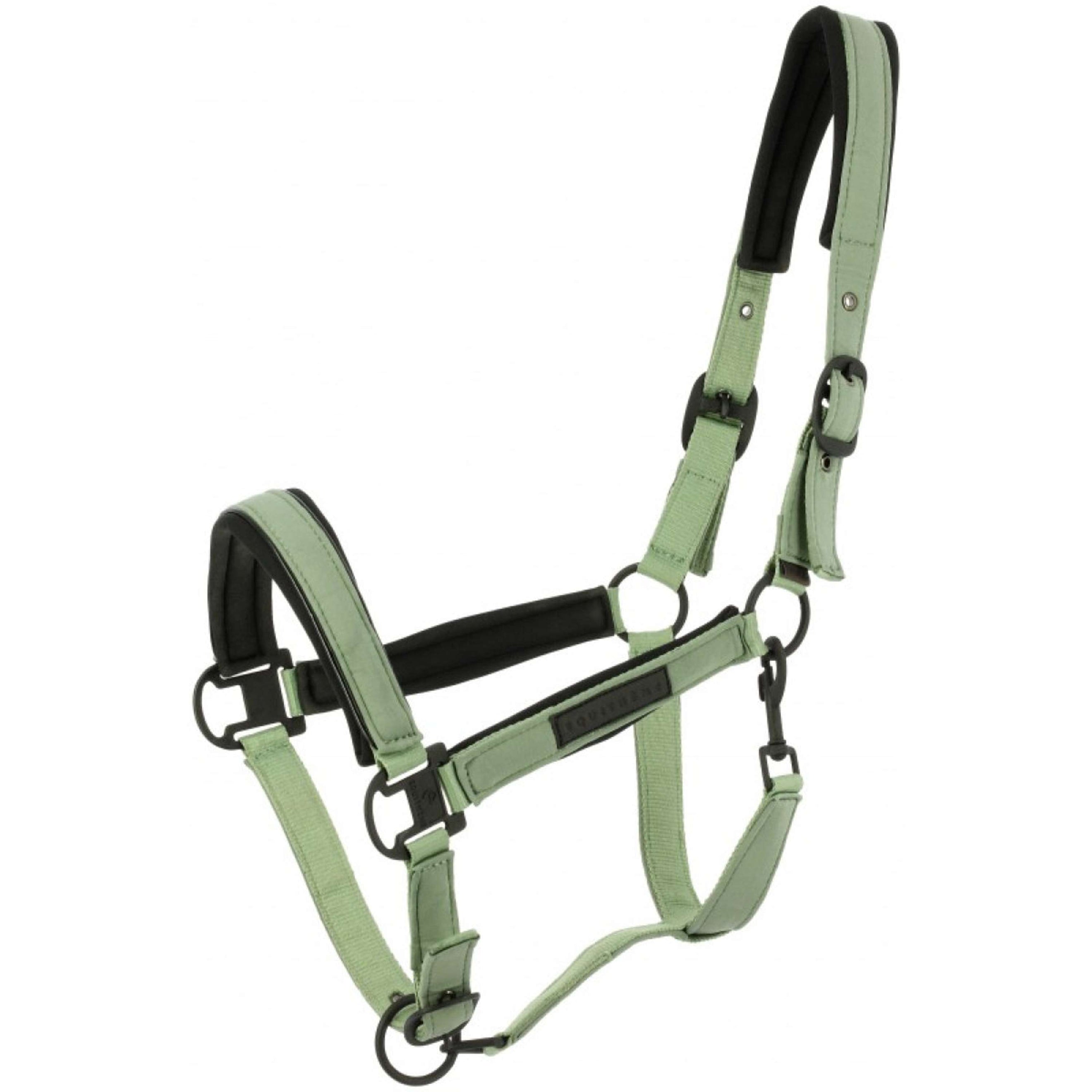 EQUITHÈME Licol Pearl Vert EQUITHÈME Licol Pearl Vert