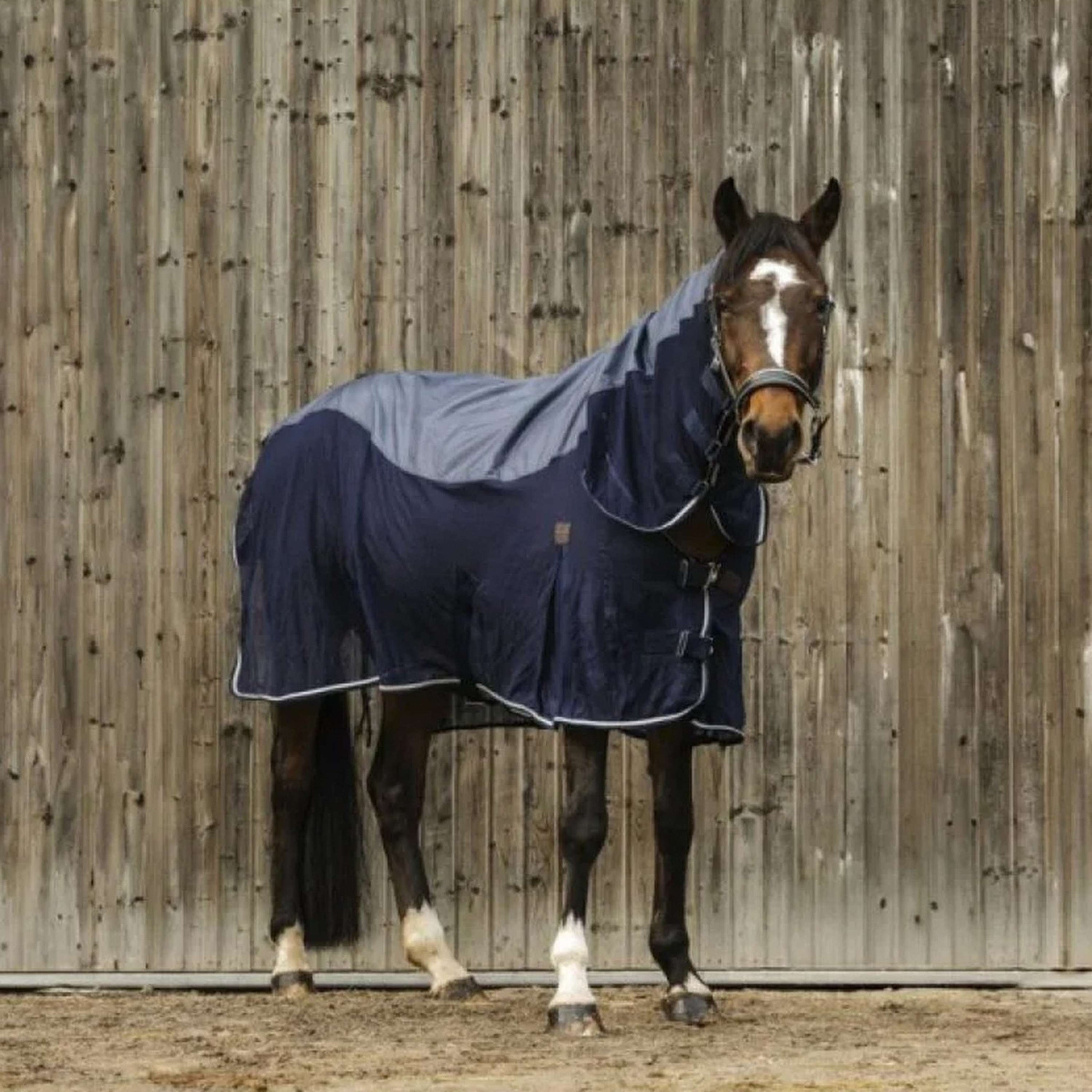 EQUITHÈME Couverture d'Été 3-in-1 Mixte Marin EQUITHÈME Couverture d'Été 3-in-1 Mixte Marin