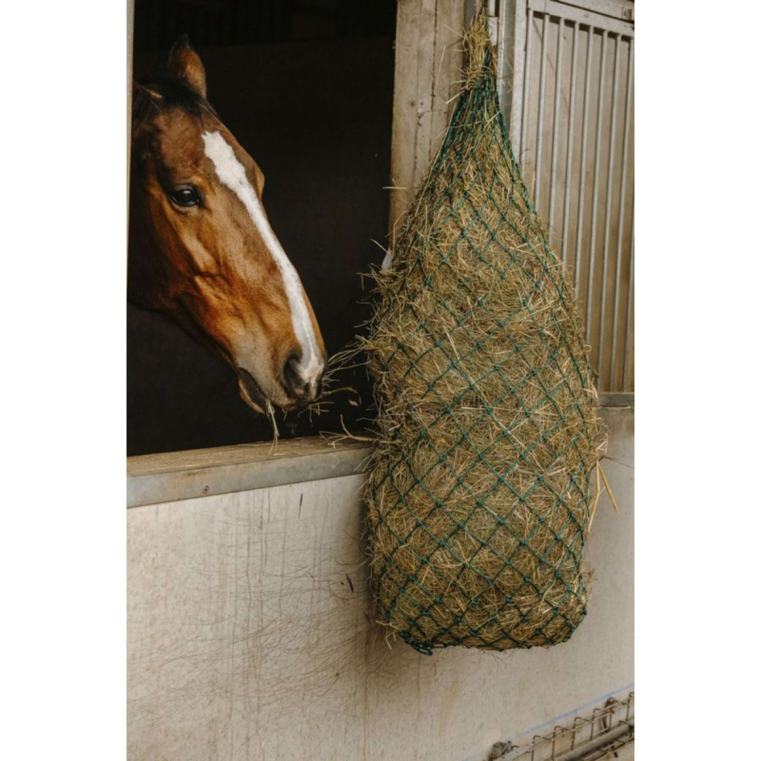 Hippotonic Filet à Foin Long Vert