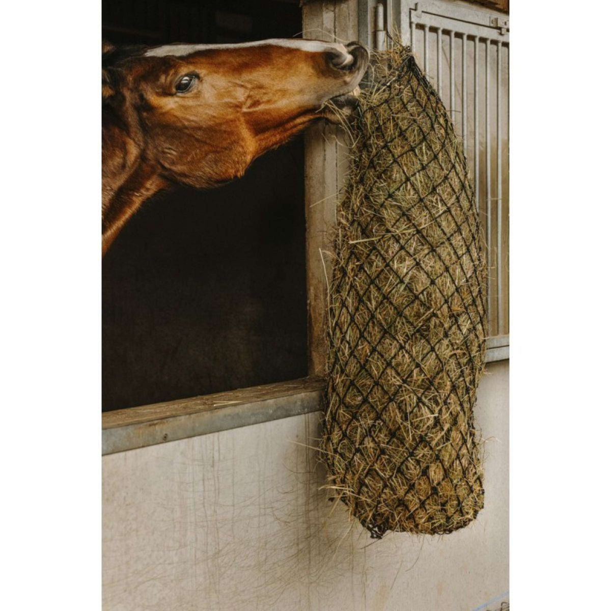 Hippotonic Filet à Foin Long Noir