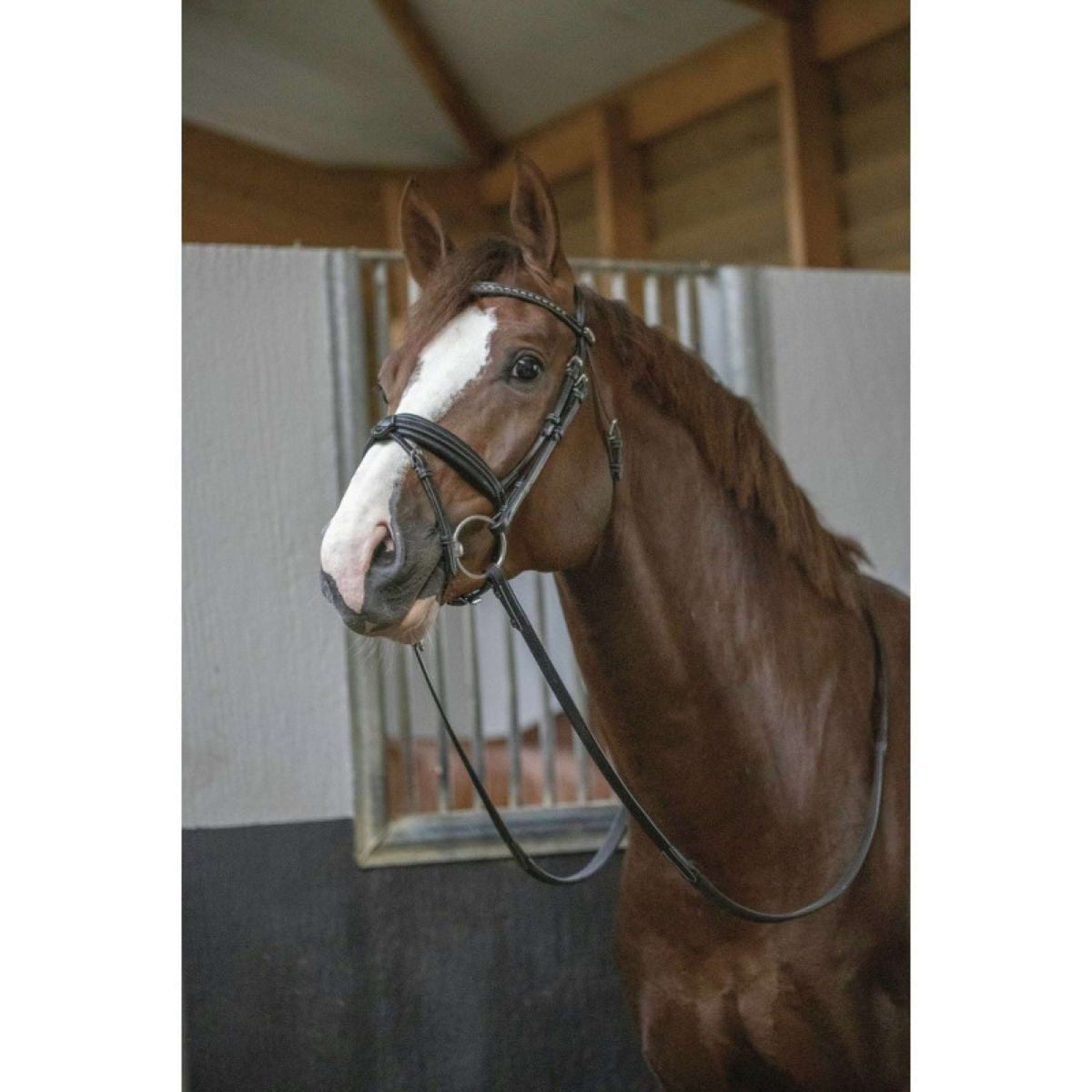 Pénélope Bride Daily Chocolat