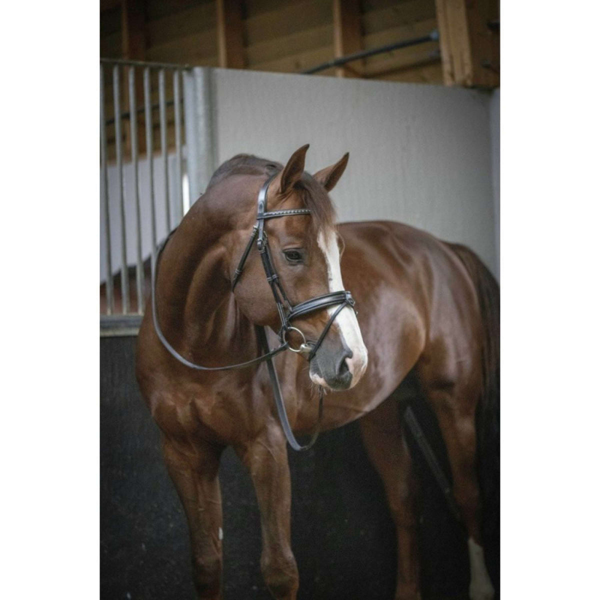 Pénélope Bride Daily Chocolat