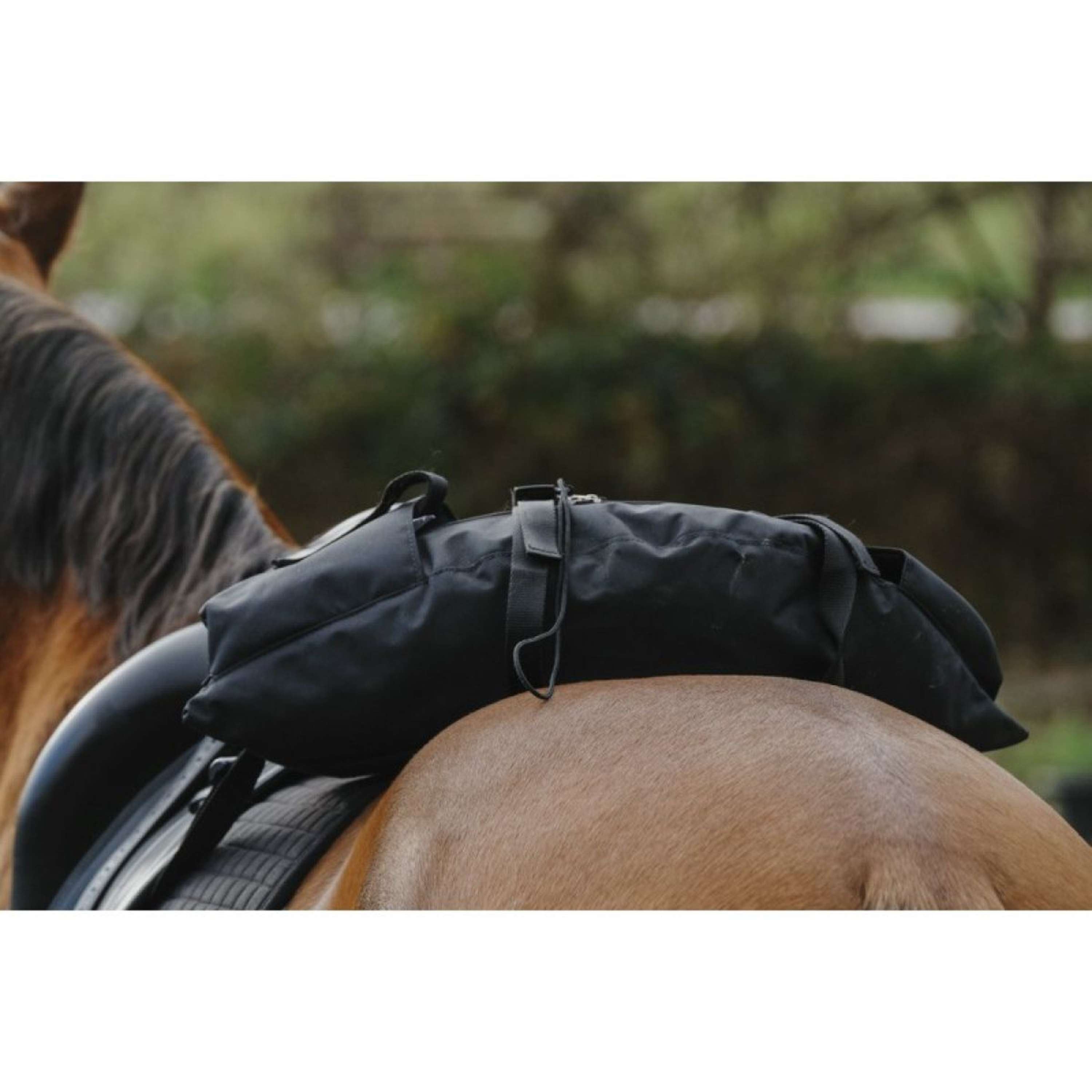 Randol's Sacoche Double de Selle Front Marron Randol's Sacoche Double de Selle Front Marron
