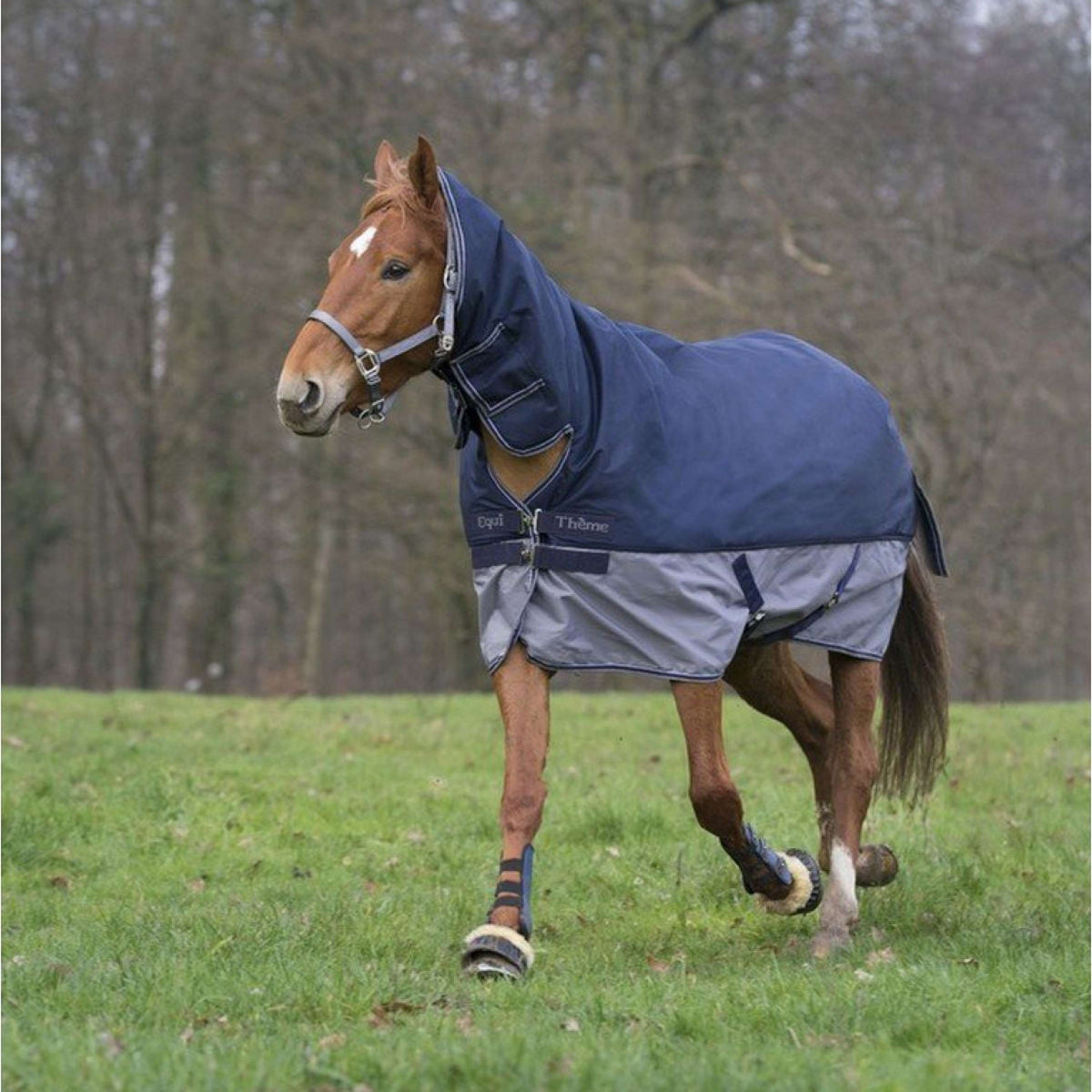 EQUITHÈME Turnout Rug Tyrex Combo 600D 0g Marine/Gris