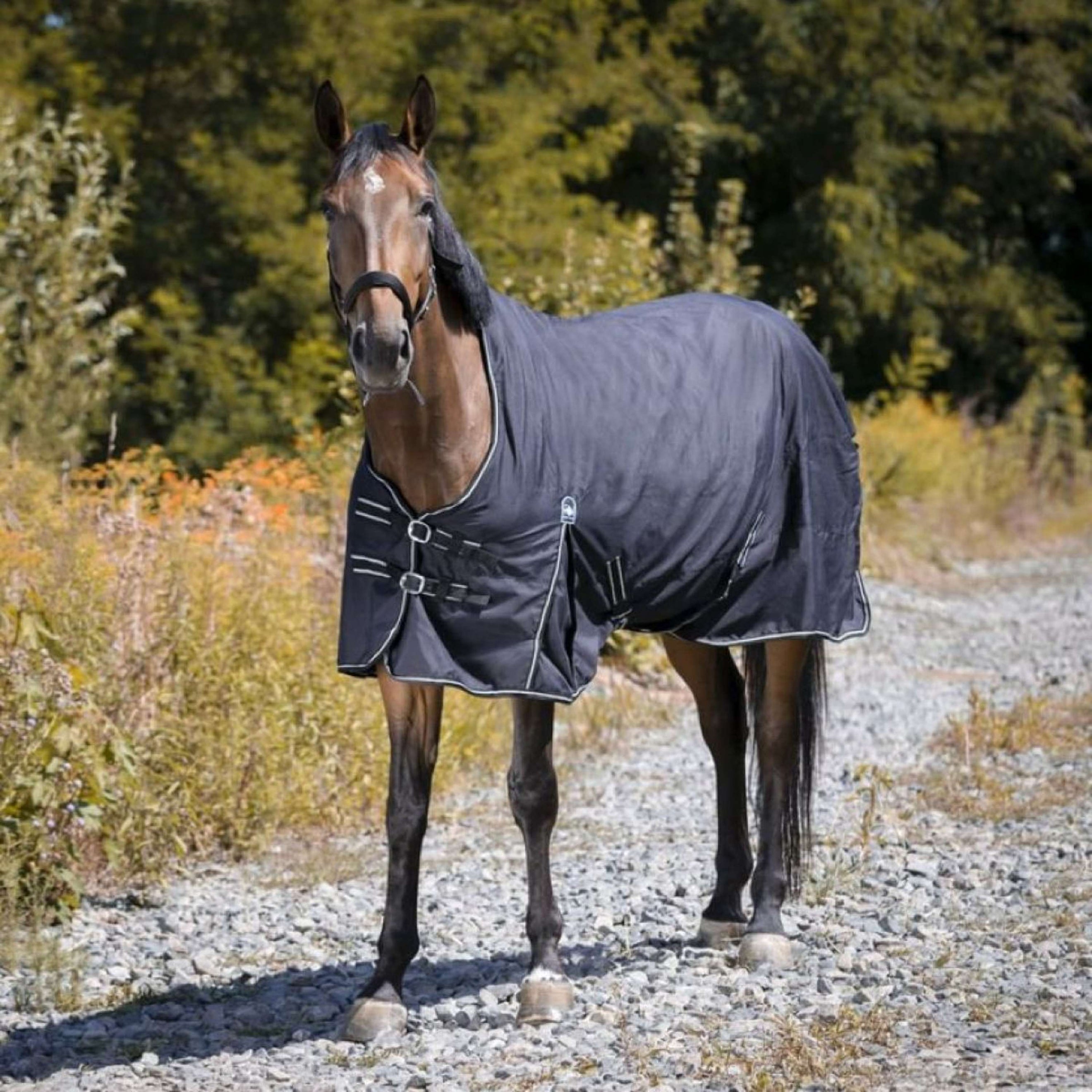 Riding World Couverture Imperméable Oxford 300D 0g Noir