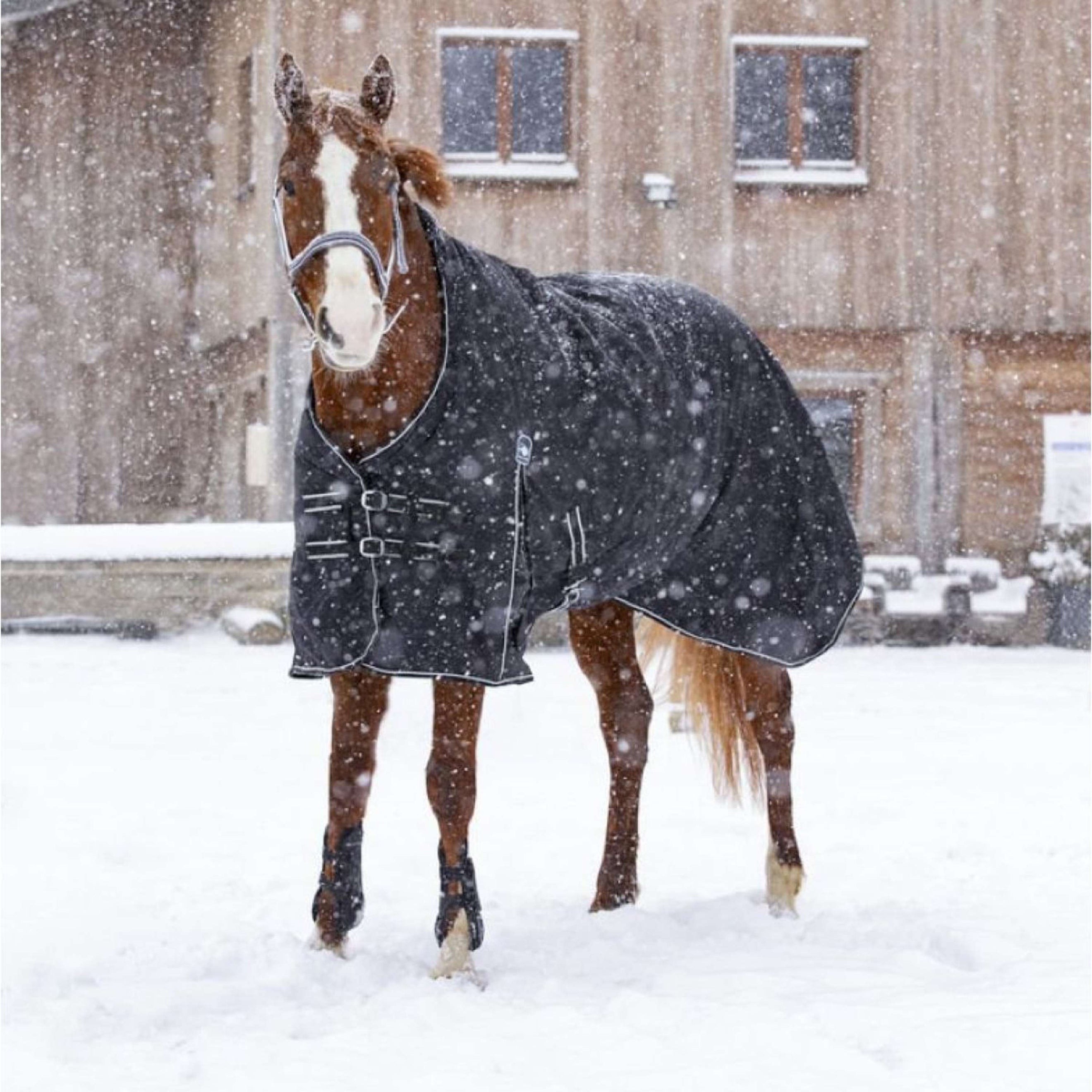 Riding World Couverture d'Extérieur Oxford 220g Noir Riding World Couverture d'Extérieur Oxford 220g Noir