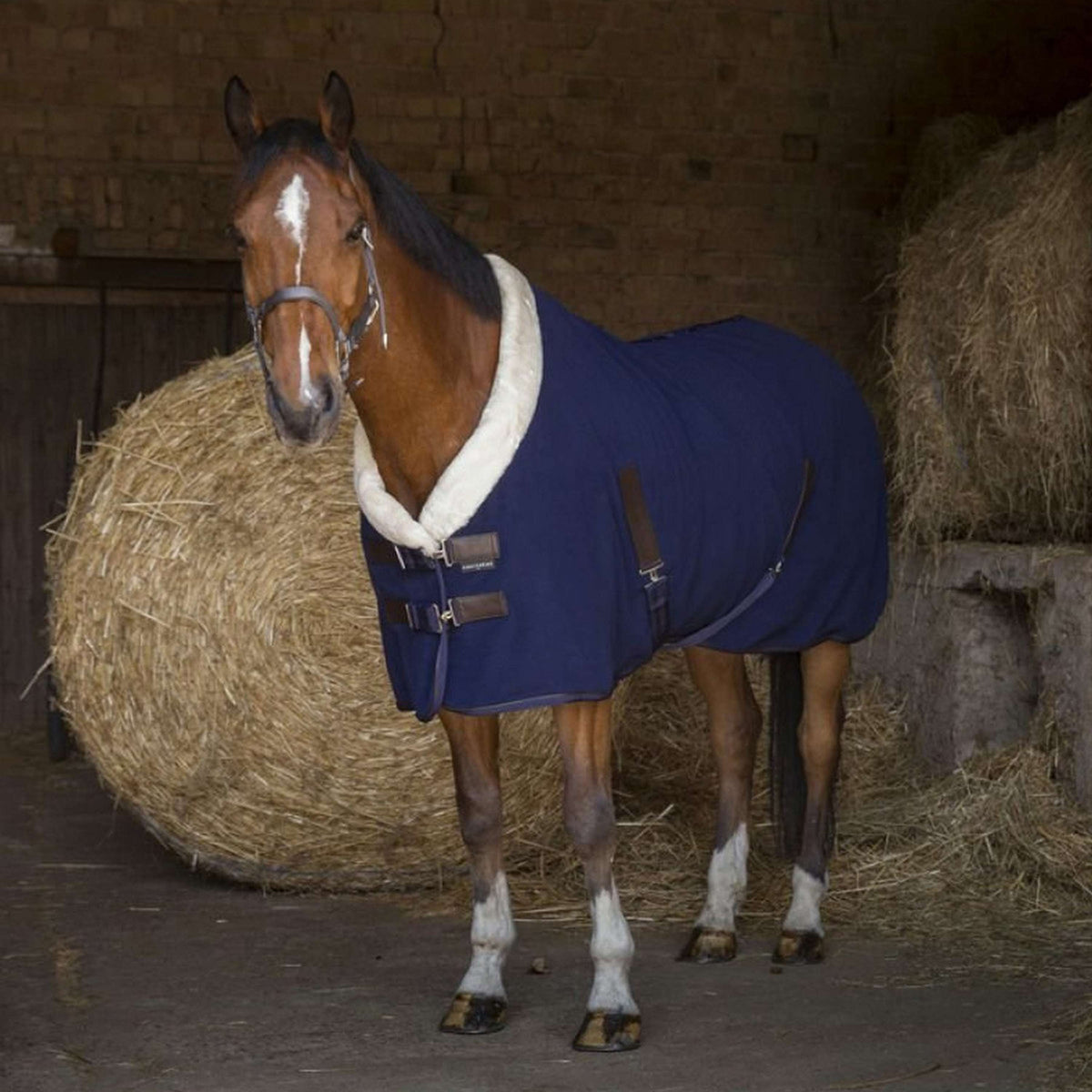 EQUITHÈME Couverture Polaire Teddy Marin