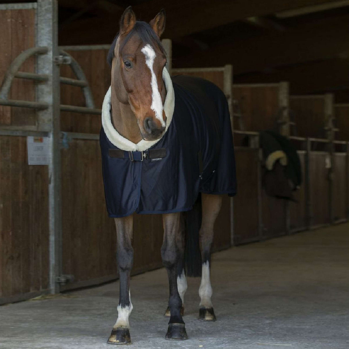 EQUITHÈME Chemise Rafraîchissante Teddy Marin