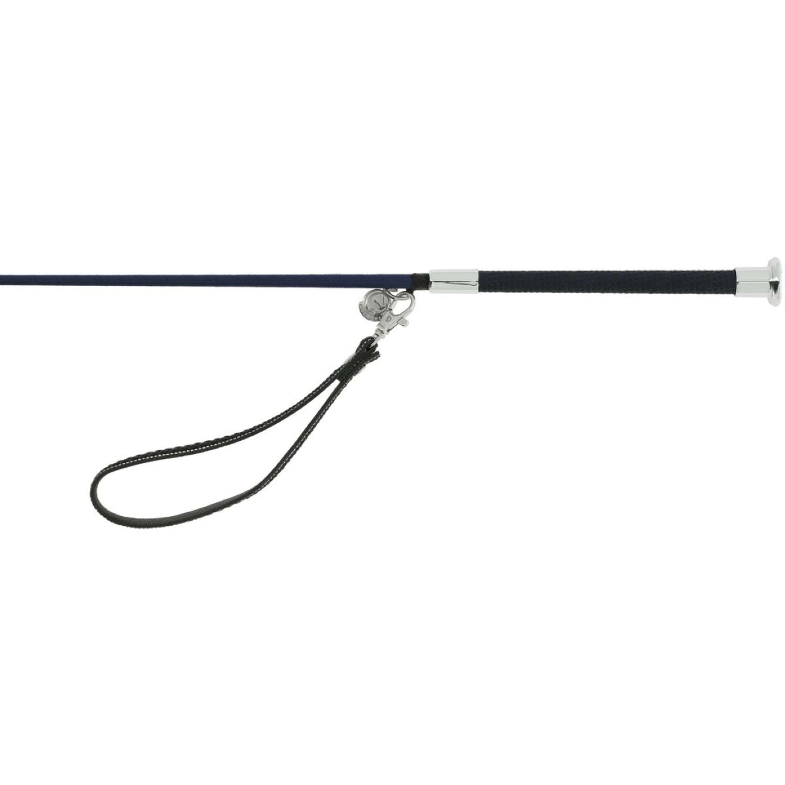 Whip & Go Cravache de Dressage Charme Bleu