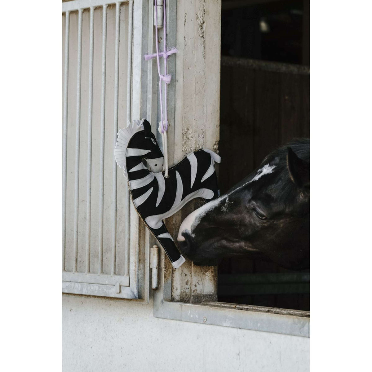 Hippotonic Horse Toy Zebra