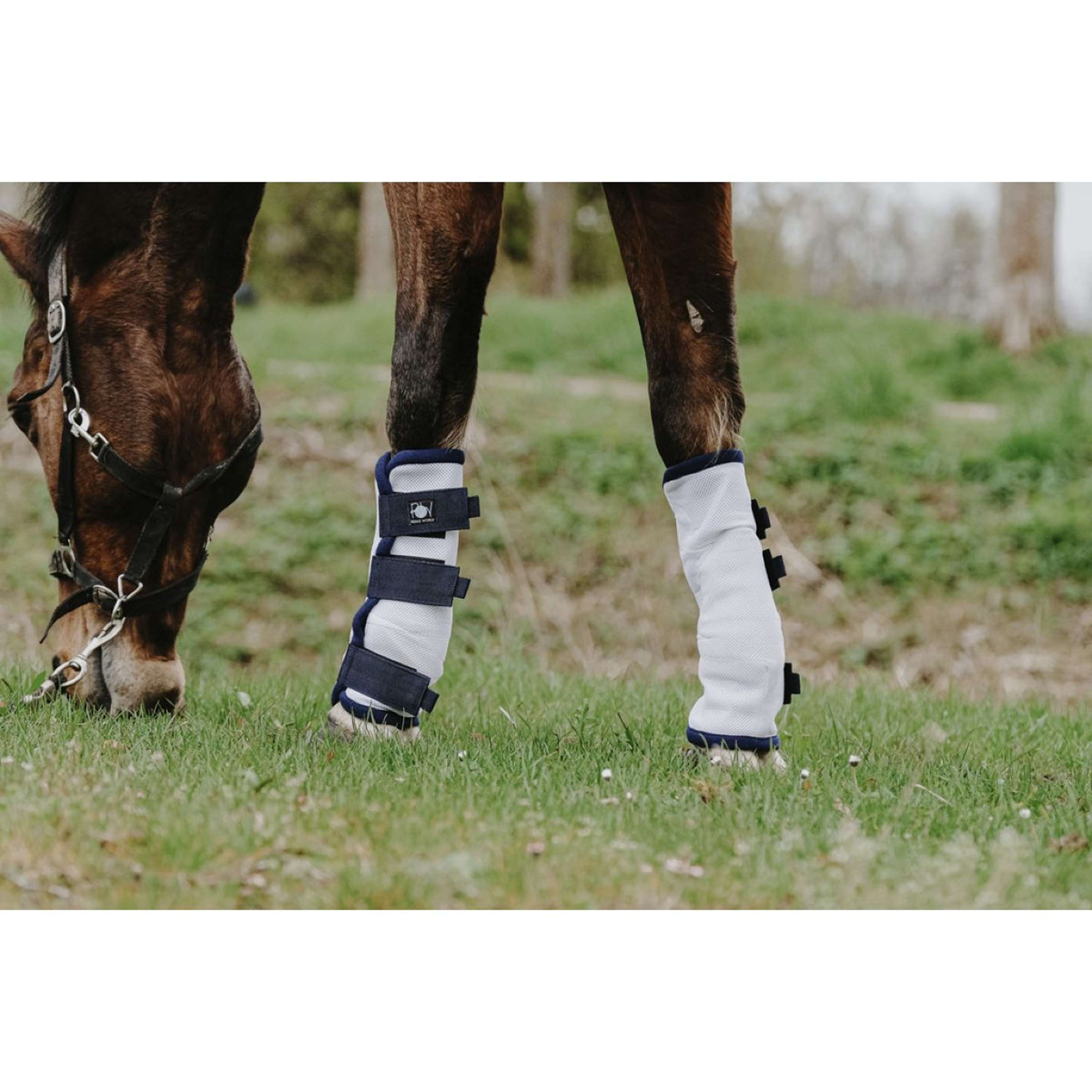 Riding World Protecteurs anti-mouches Blanc Riding World Protecteurs anti-mouches Blanc