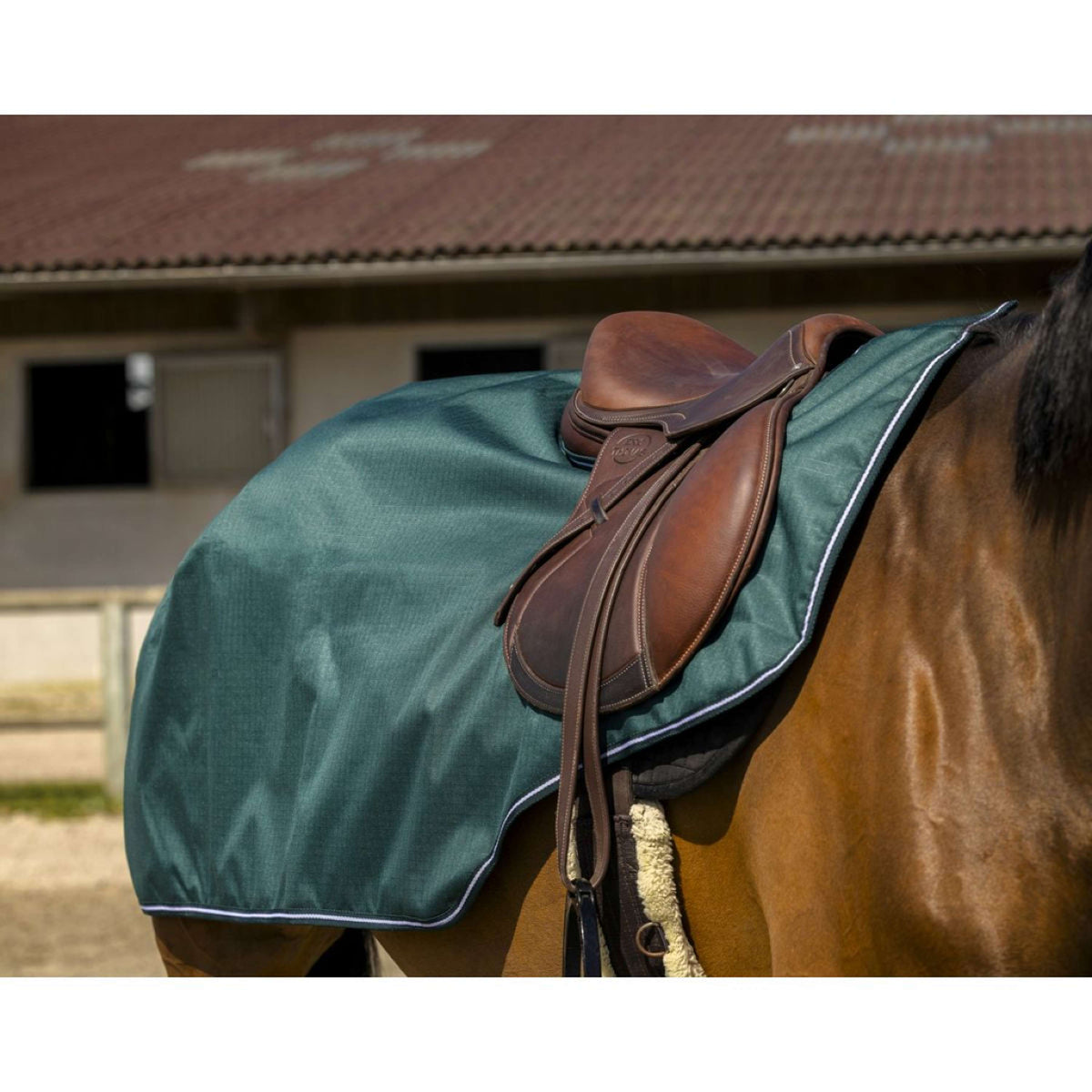 Selle à cheval premium en cuir de tonneau violet course Selle à cheval premium en cuir de tonneau violet course