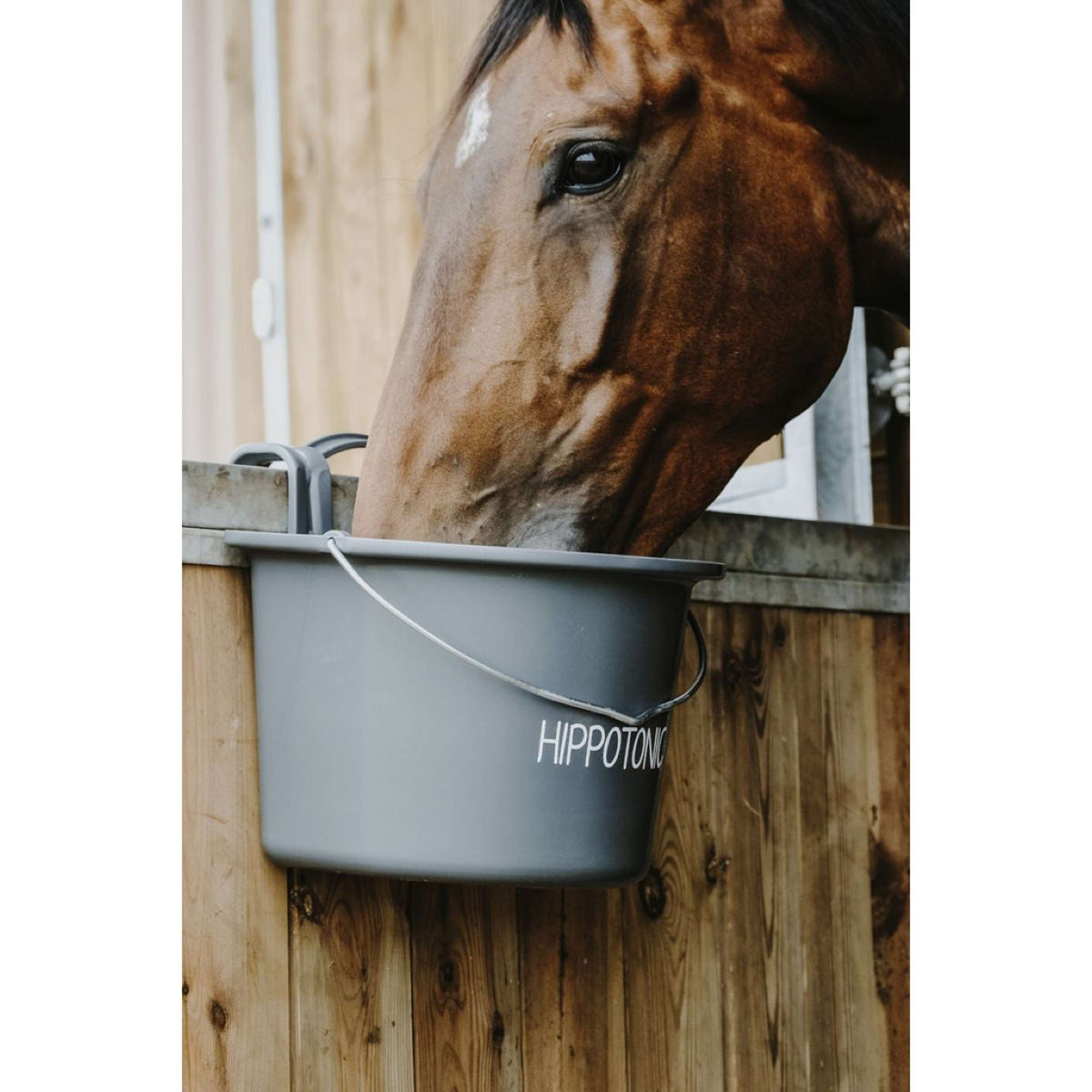 Hippotonic Mangeoire avec Poignée Gris foncé