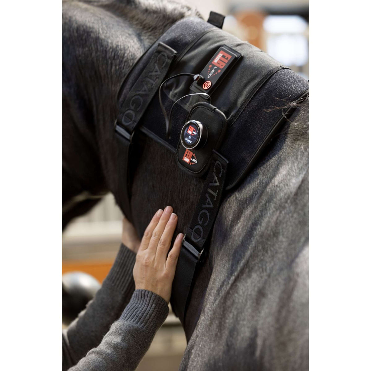 Catago Coussin de thérapie LED Fir-Tech Q27