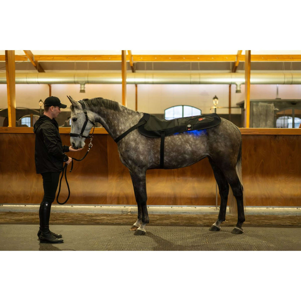 Catago Coussin de thérapie LED Fir-Tech X84