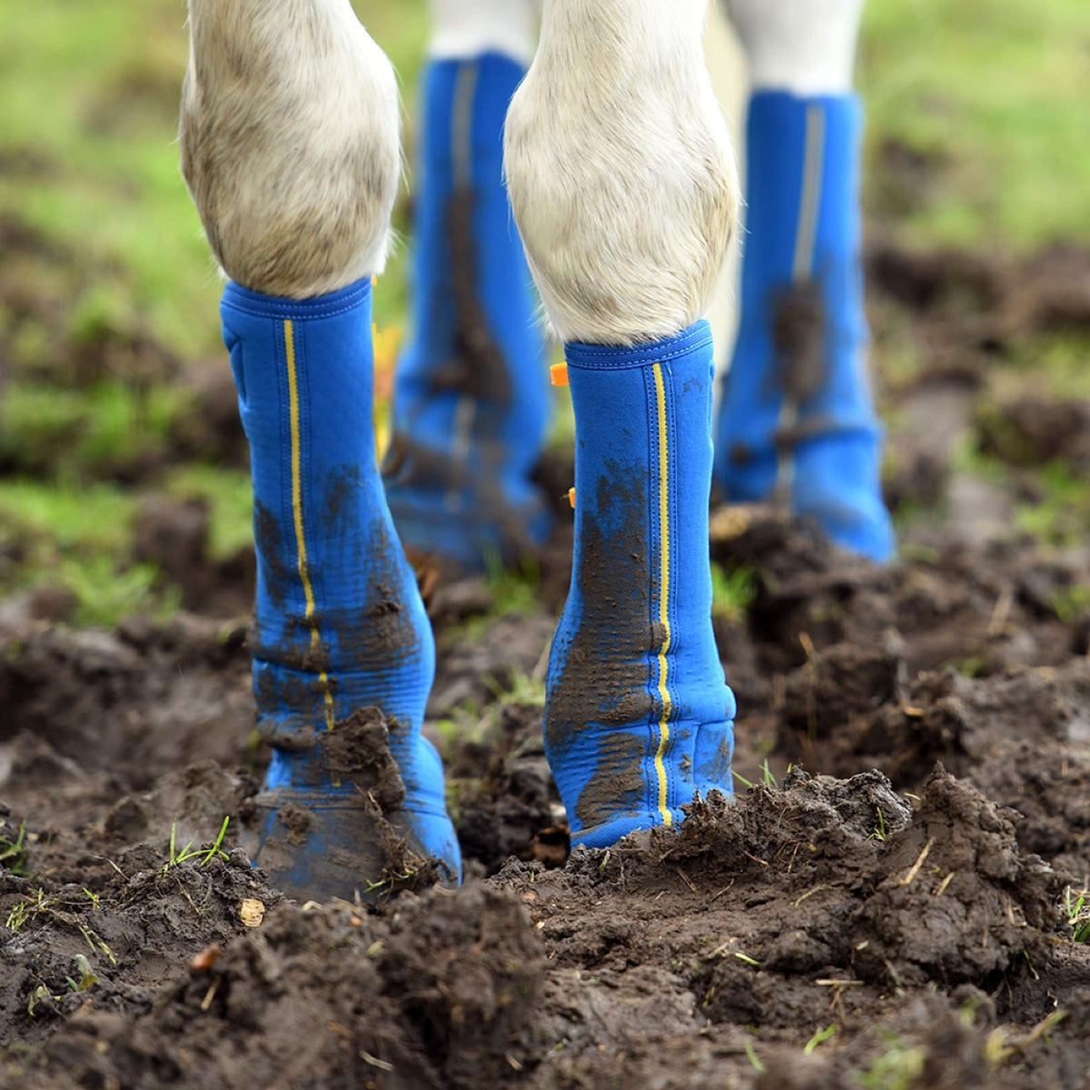 Equilibrium Guêtres Equi-Chaps Close Contact Marin