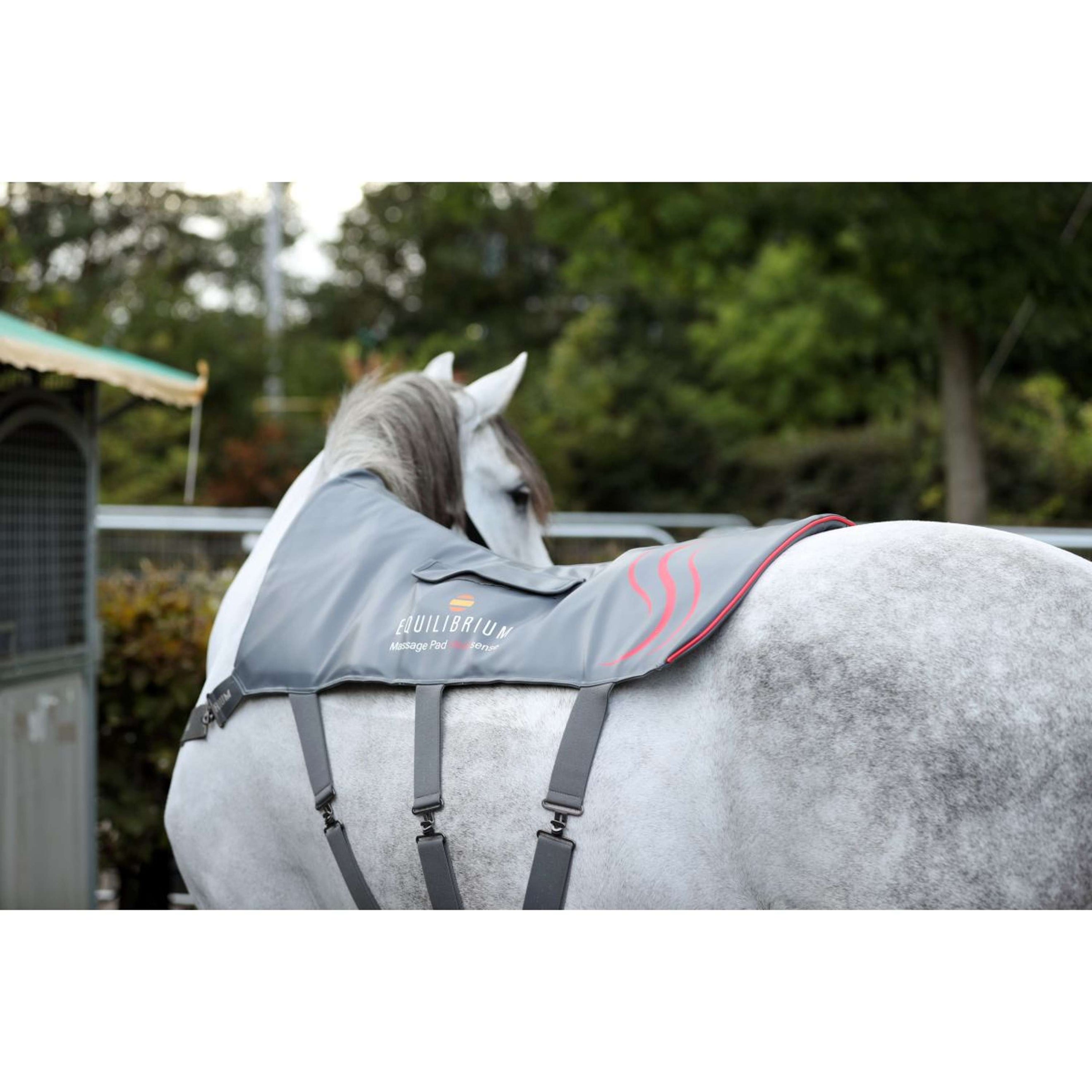 Equilibrium Massage Pad Heatsense Gris Equilibrium Massage Pad Heatsense Gris