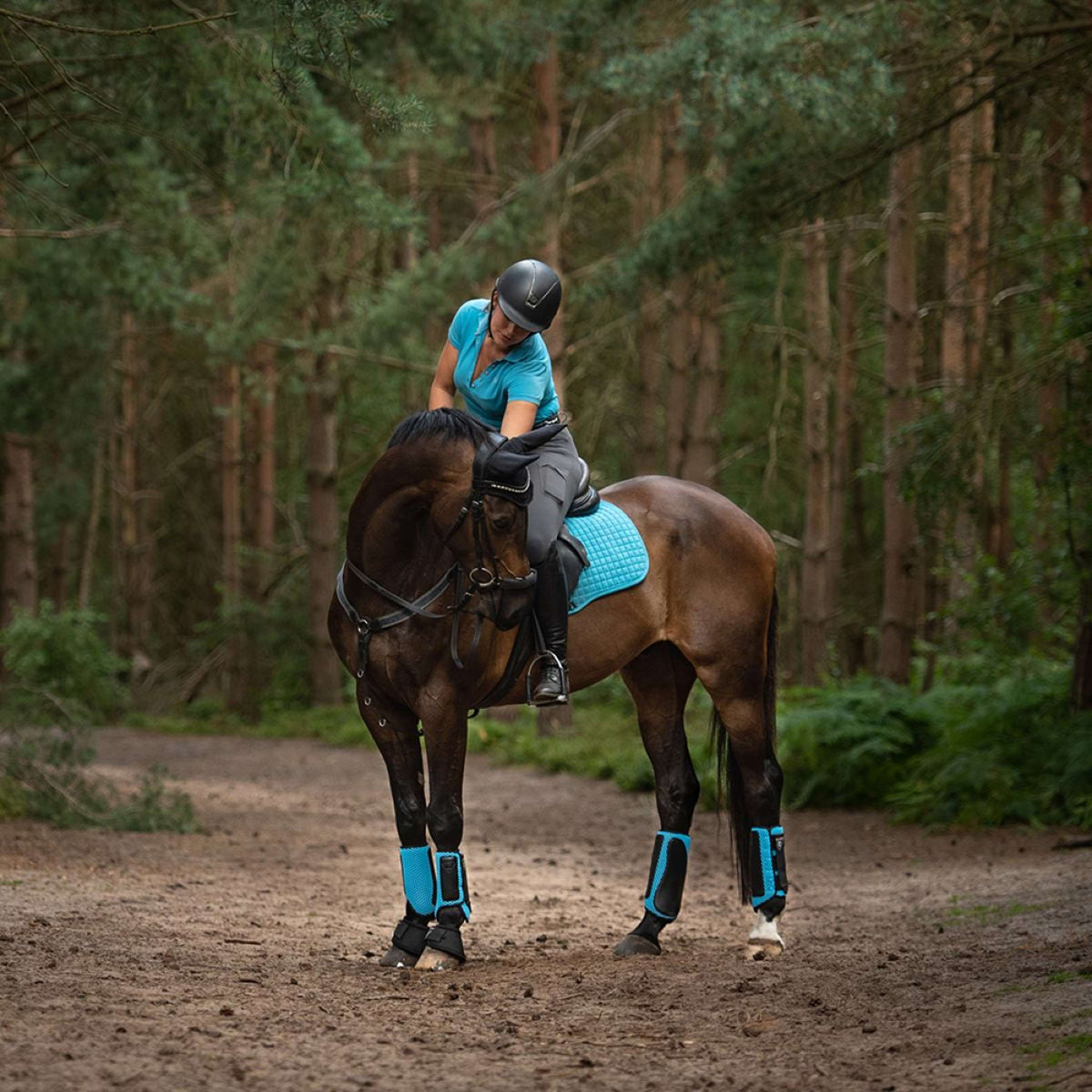 Equilibrium Guêtres Tri-Zone Impact Sports Arrière Bleu Azuré