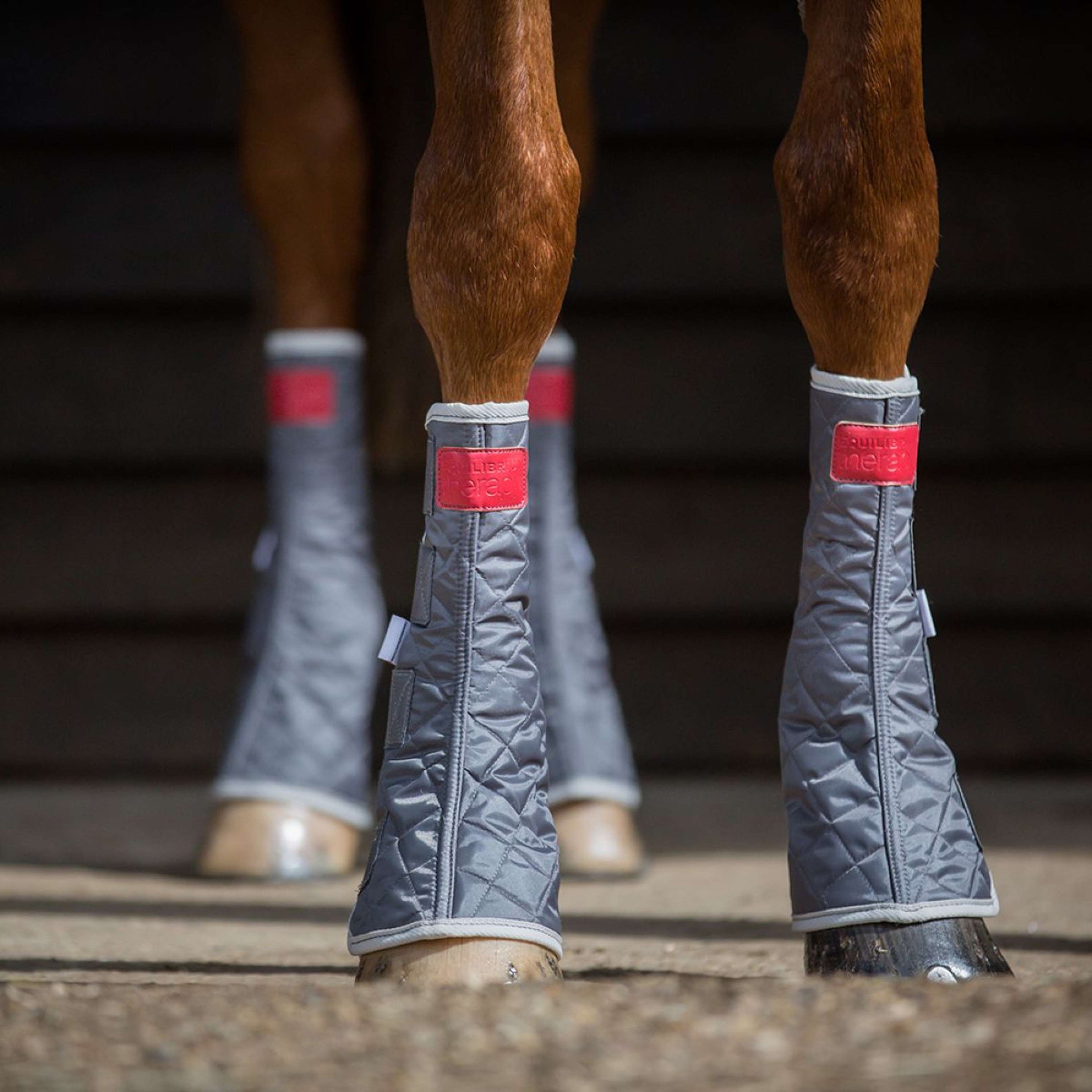 Equilibrium Guêtres Magnetic antérieurs Gris