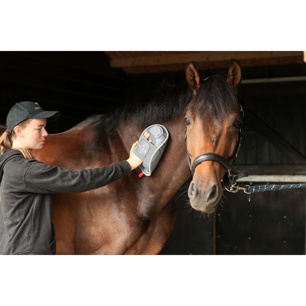 Equilibrium Gant de Massage Hotspot Gris