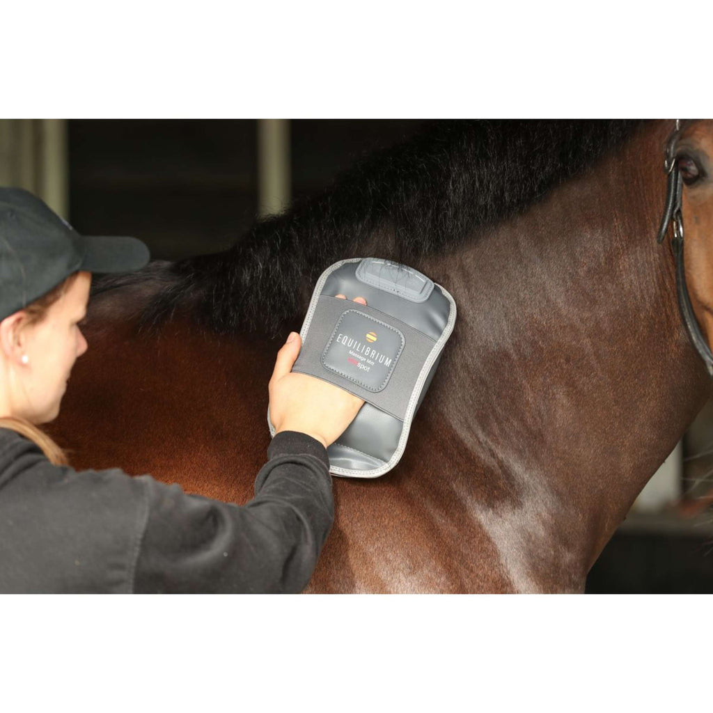 Equilibrium Gant de Massage Hotspot Gris