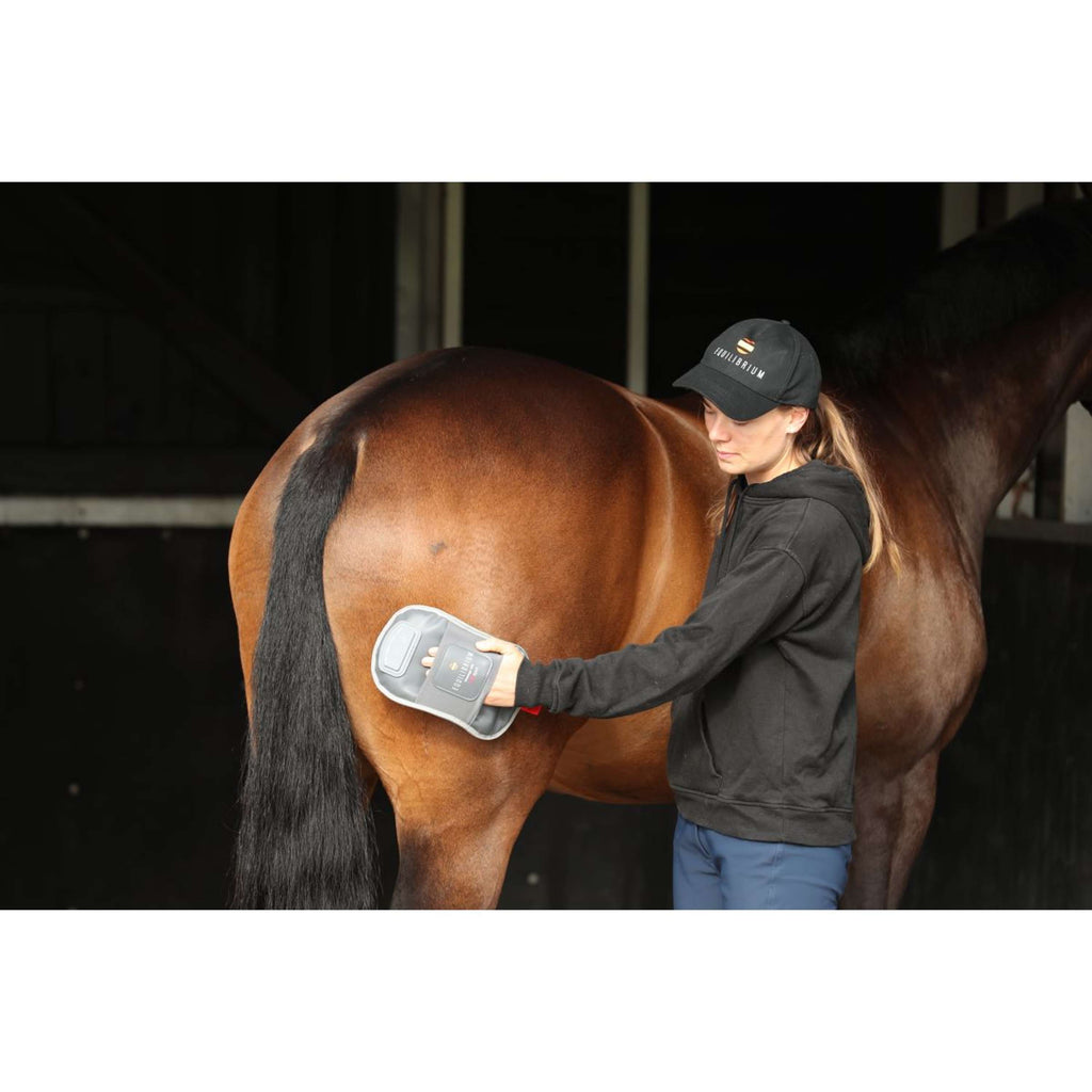 Equilibrium Gant de Massage Hotspot Gris