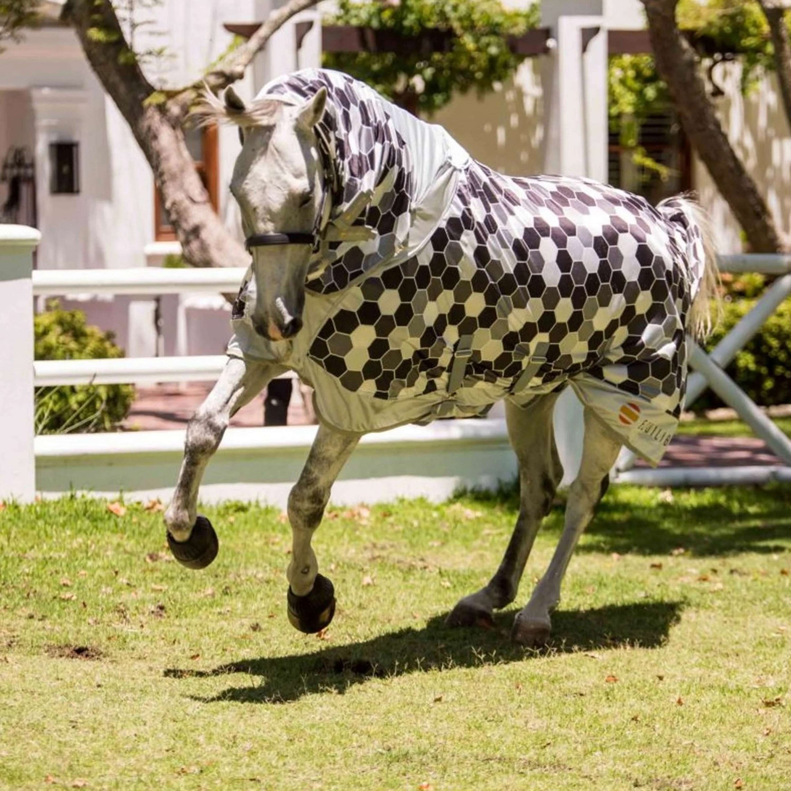 Equilibrium Couverture Anti-Mouches Field Relief Gris Equilibrium Couverture Anti-Mouches Field Relief Gris