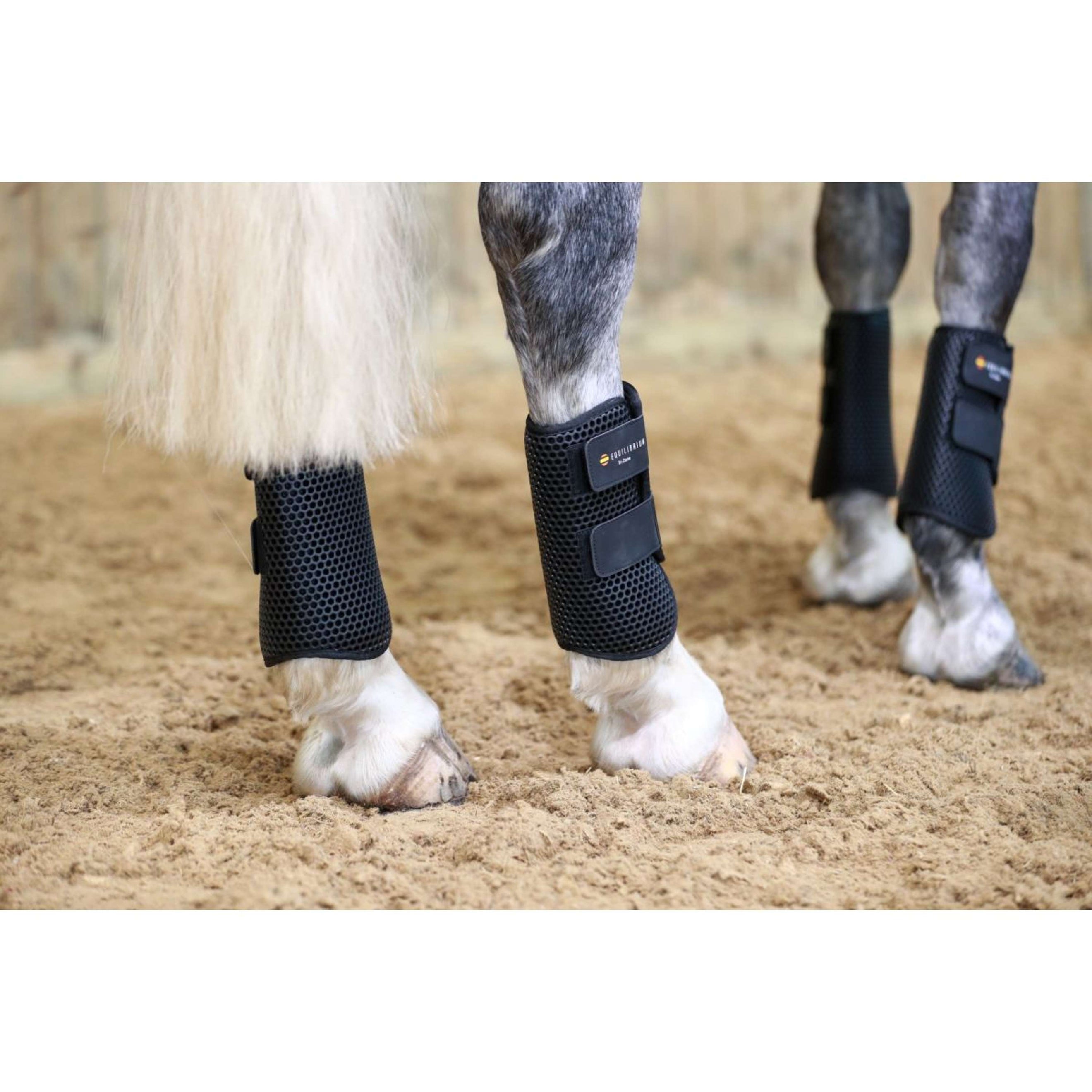 Equilibrium Guêtres Tri-Zone All Sports Noir Equilibrium Guêtres Tri-Zone All Sports Noir