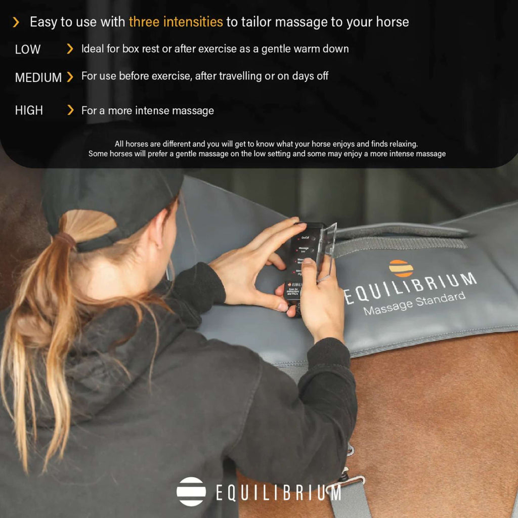 Equilibrium Massage Pad Gris