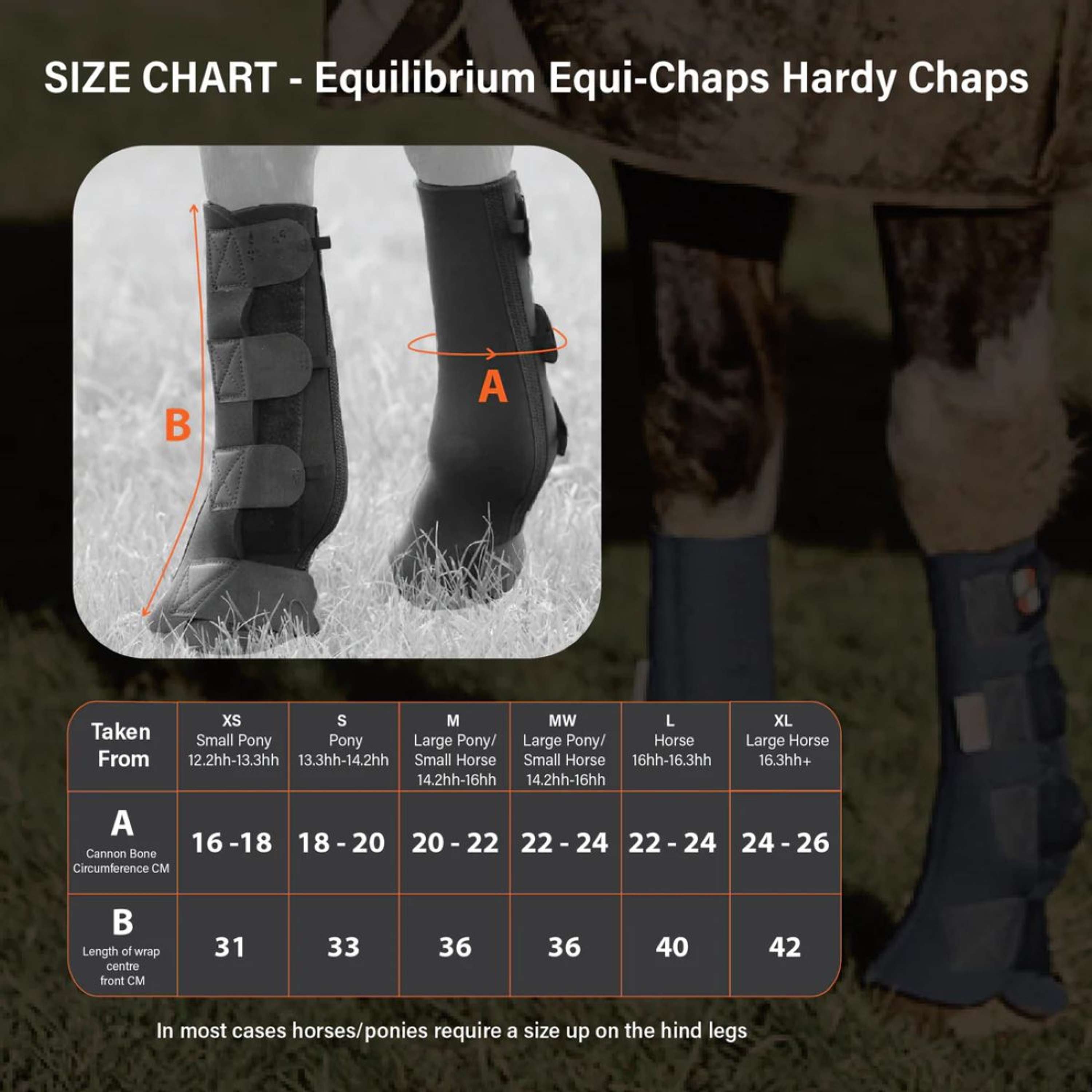 Equilibrium Guêtres Equi-Chaps Hardy Marin