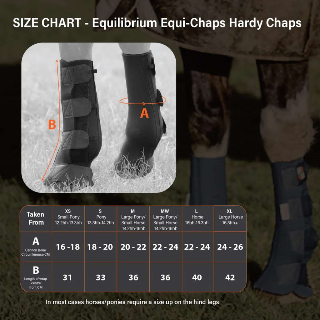 Equilibrium Guêtres Equi-Chaps Hardy Marin