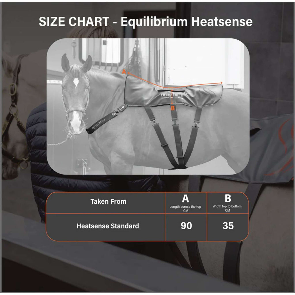 Equilibrium Massage Pad Heatsense Gris