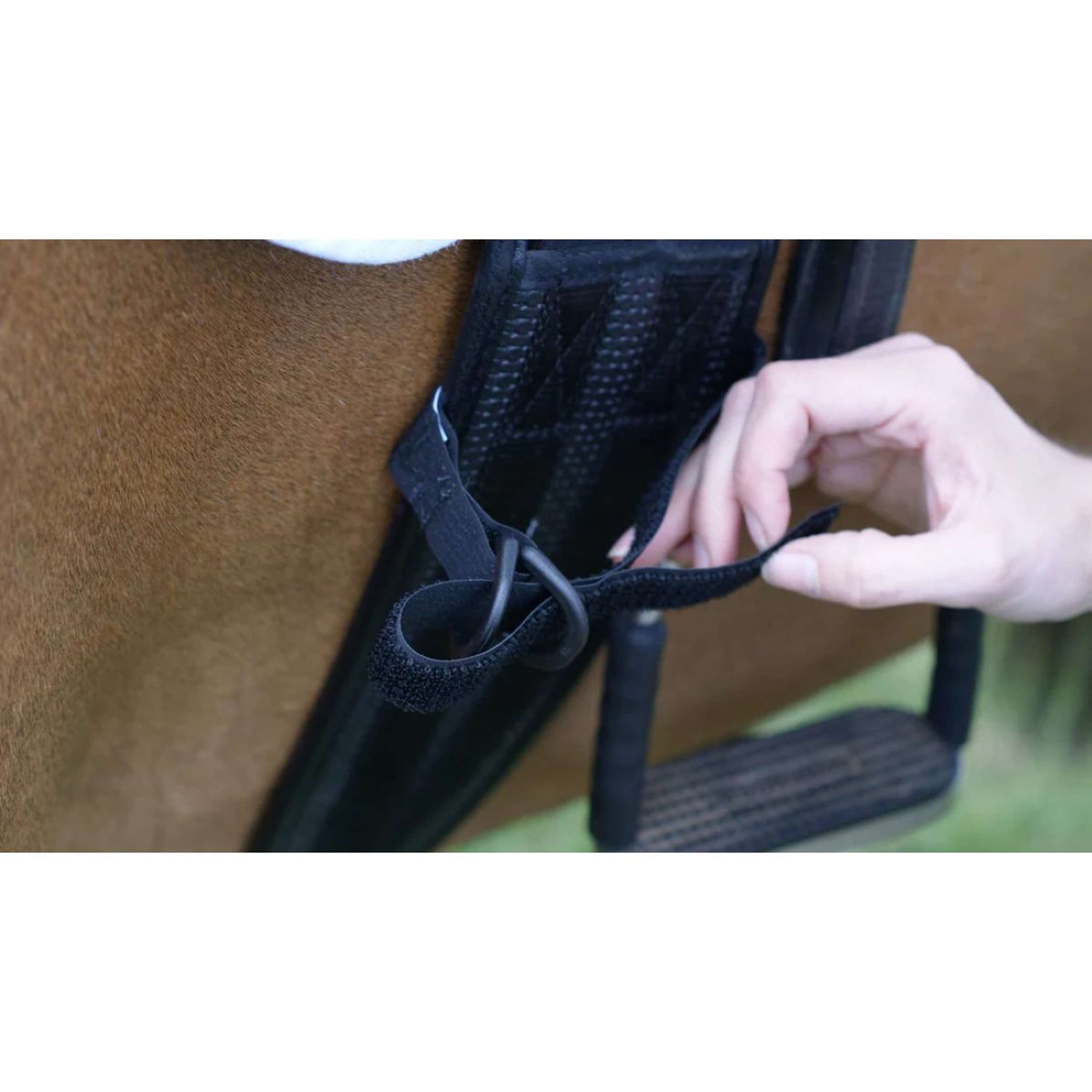 Equilibrium Courroies de Cuisse Symmetry Equilibrium Courroies de Cuisse Symmetry