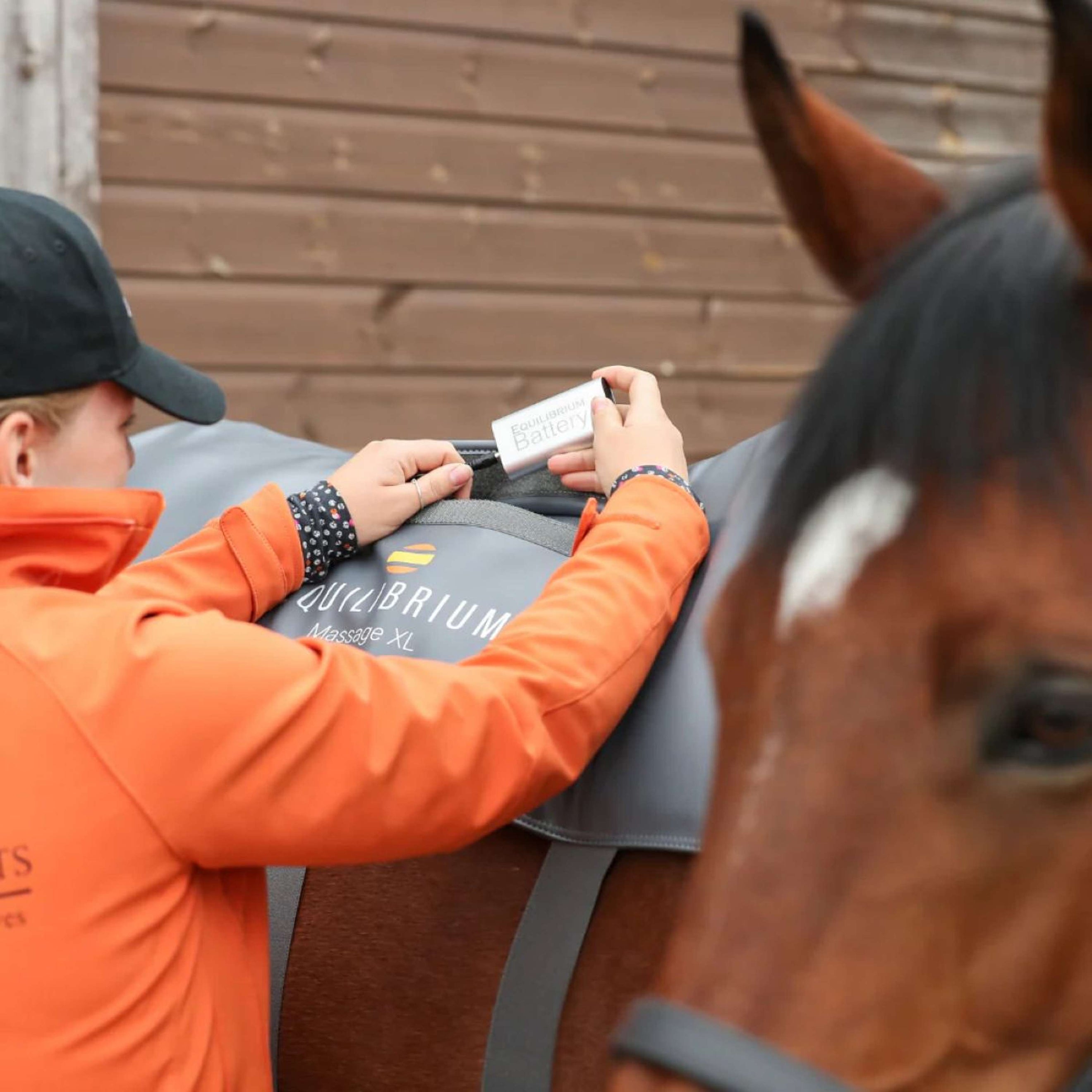 Equilibrium Batterie