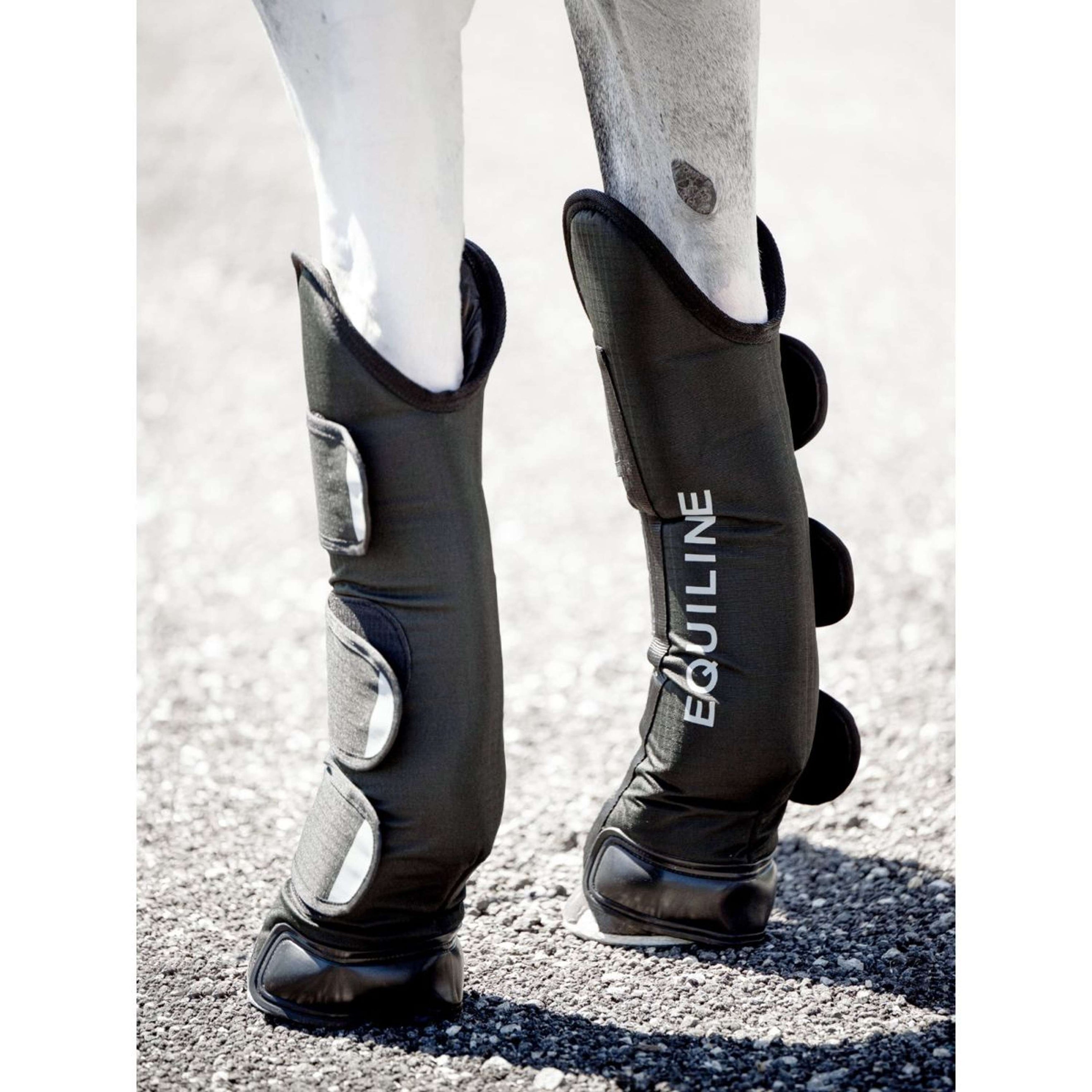 Equiline Guêtres de Transport Rex Noir Equiline Guêtres de Transport Rex Noir