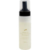 Equine America Dry Shampoo Groom & Go Naturel