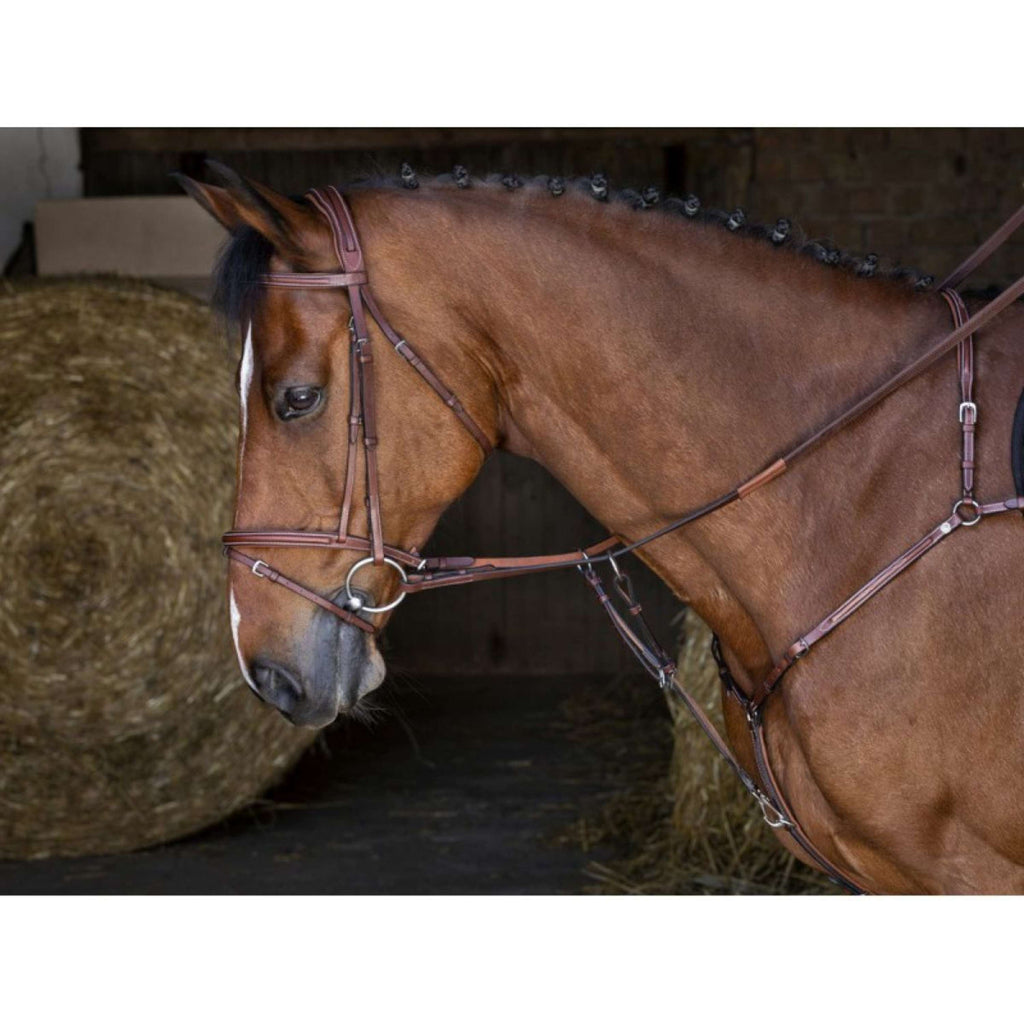 Eric Thomas Collier de Chasse Hybrid Havane
