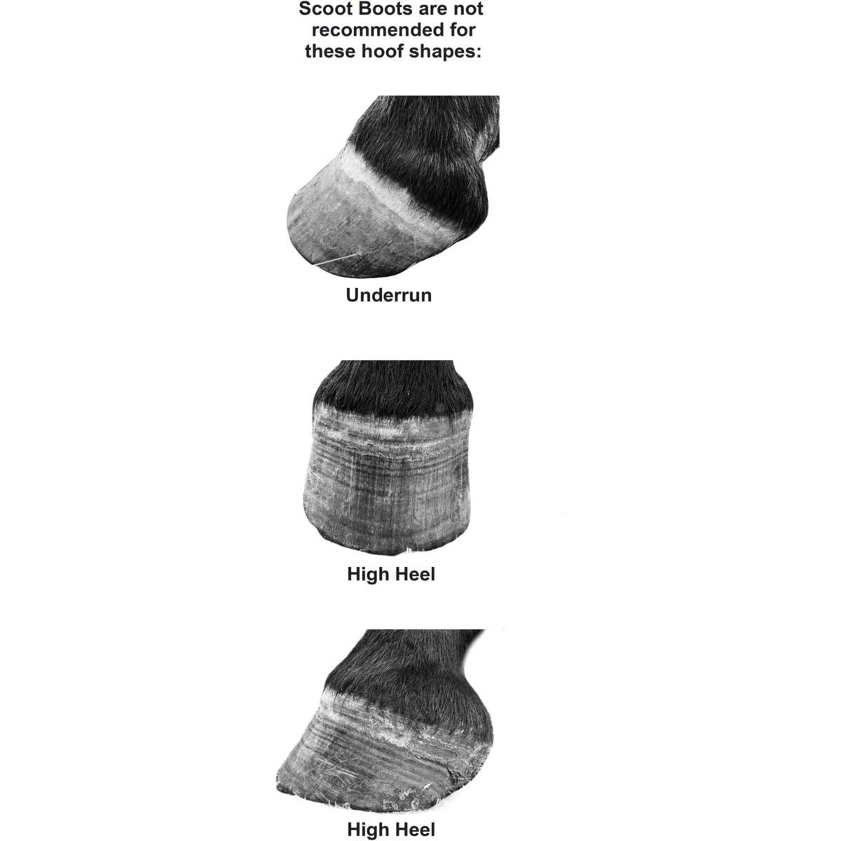 Scoot Boots Hipposandale Slim Single Poney Noir