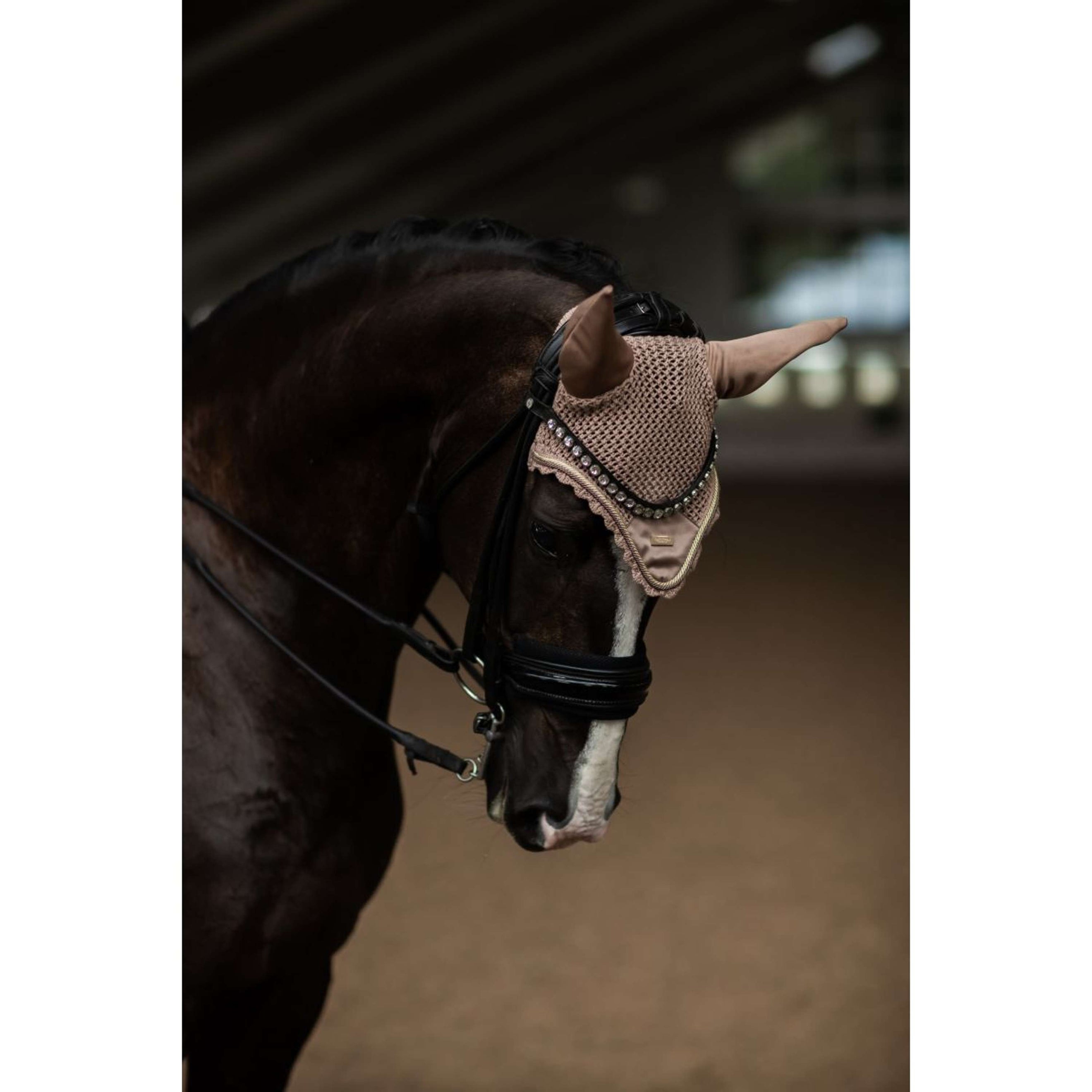 Equestrian Stockholm Bonnet Anti-Mouches Champagne Equestrian Stockholm Bonnet Anti-Mouches Champagne