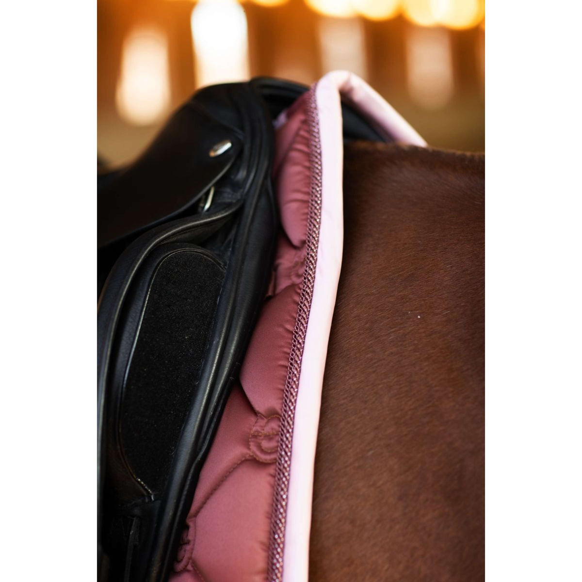 Equestrian Stockholm Tapis de Selle Dressage Amber Rose