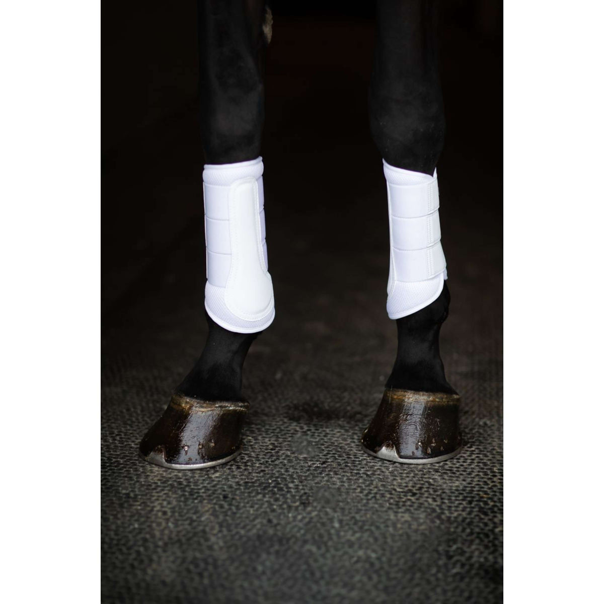 Equestrian Stockholm Guêtres Classic Mesh White Silver