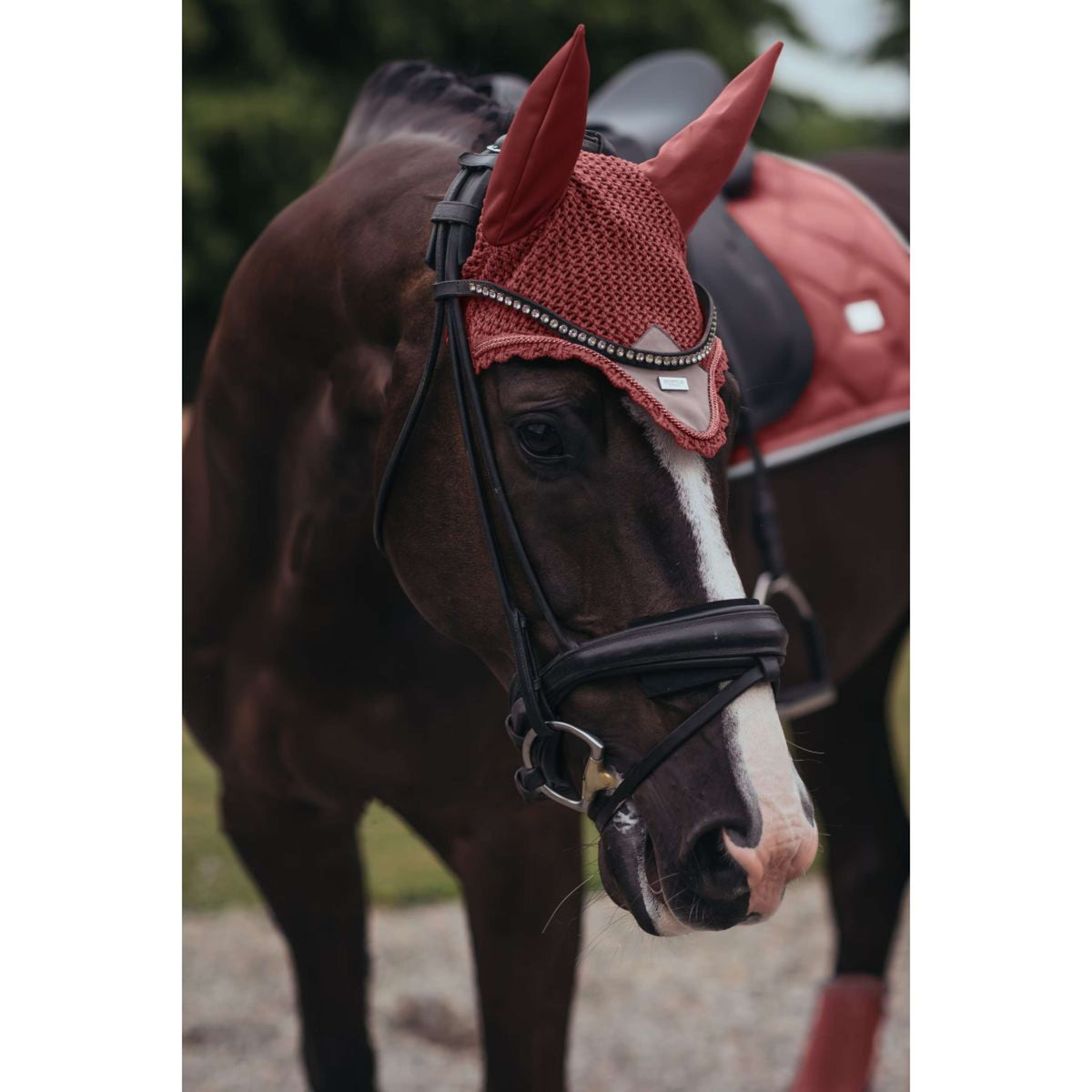 Equestrian Stockholm Bonnet Anti-Mouches Amber Rose