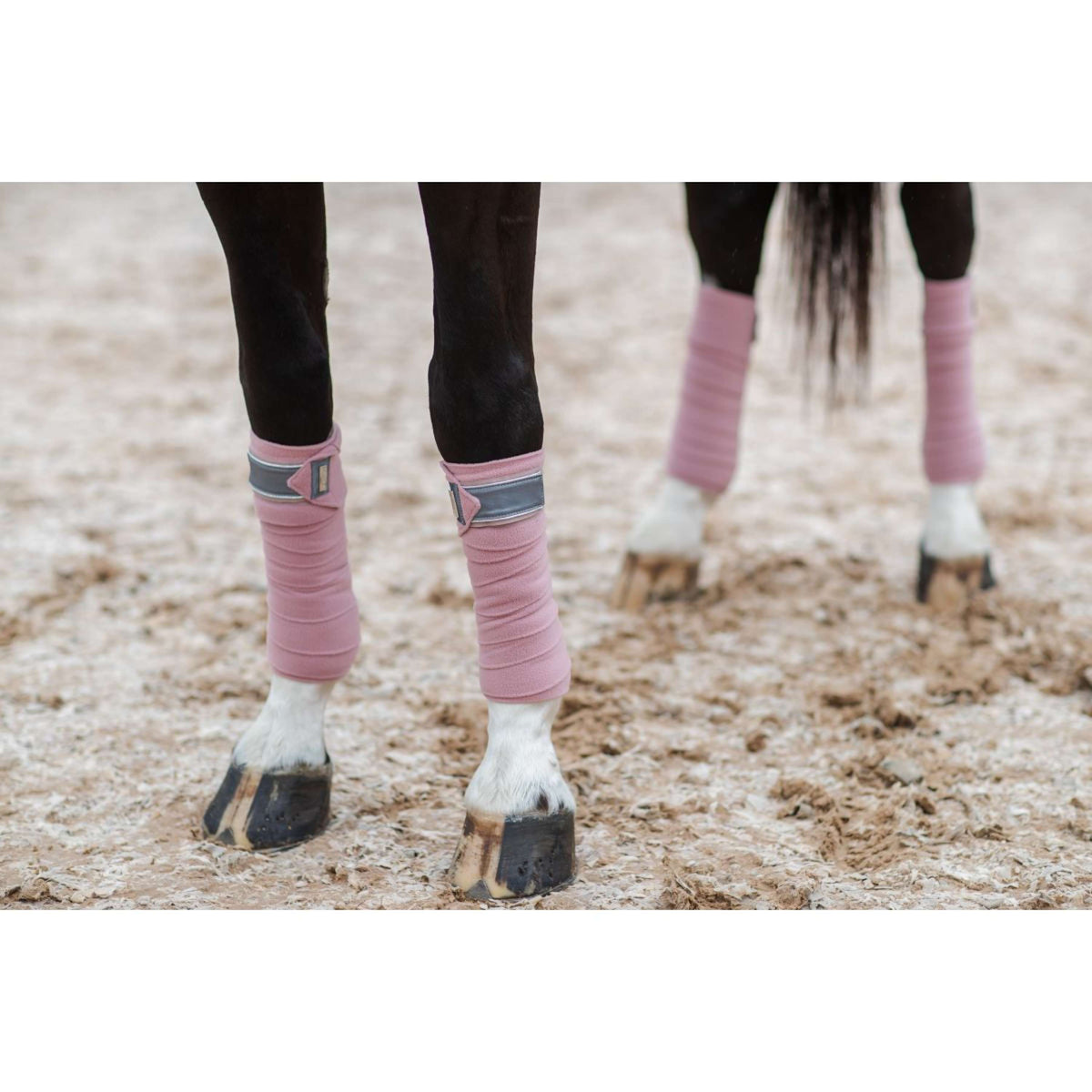 Equestrian Stockholm Bandages Rose