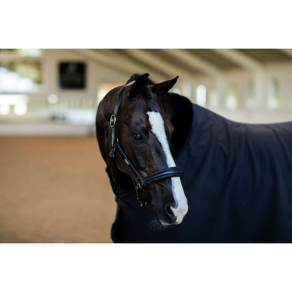 Equestrian Stockholm Licol Glimmer Anatomic Leather Noir